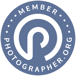 PO-Badge-Medium.png