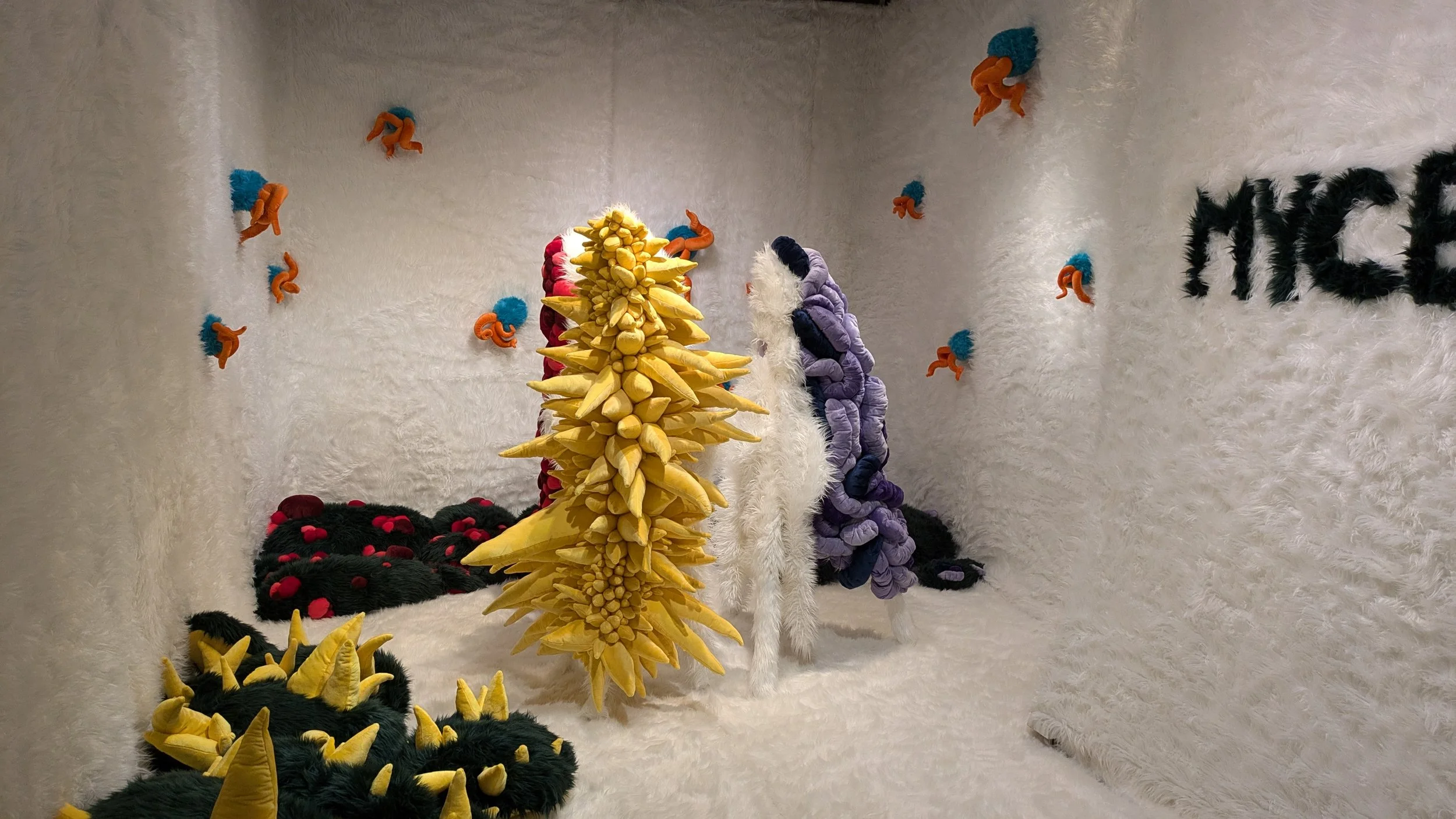 PXL_20250104_032323100 (1).jpeg