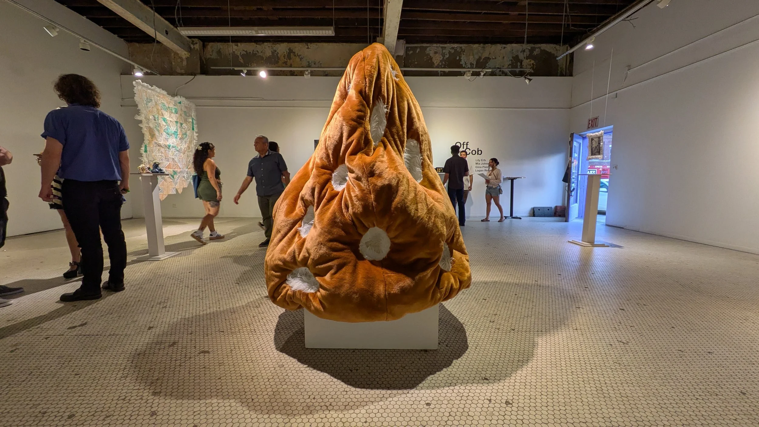 PXL_20250607_013028897.MP (1).jpg