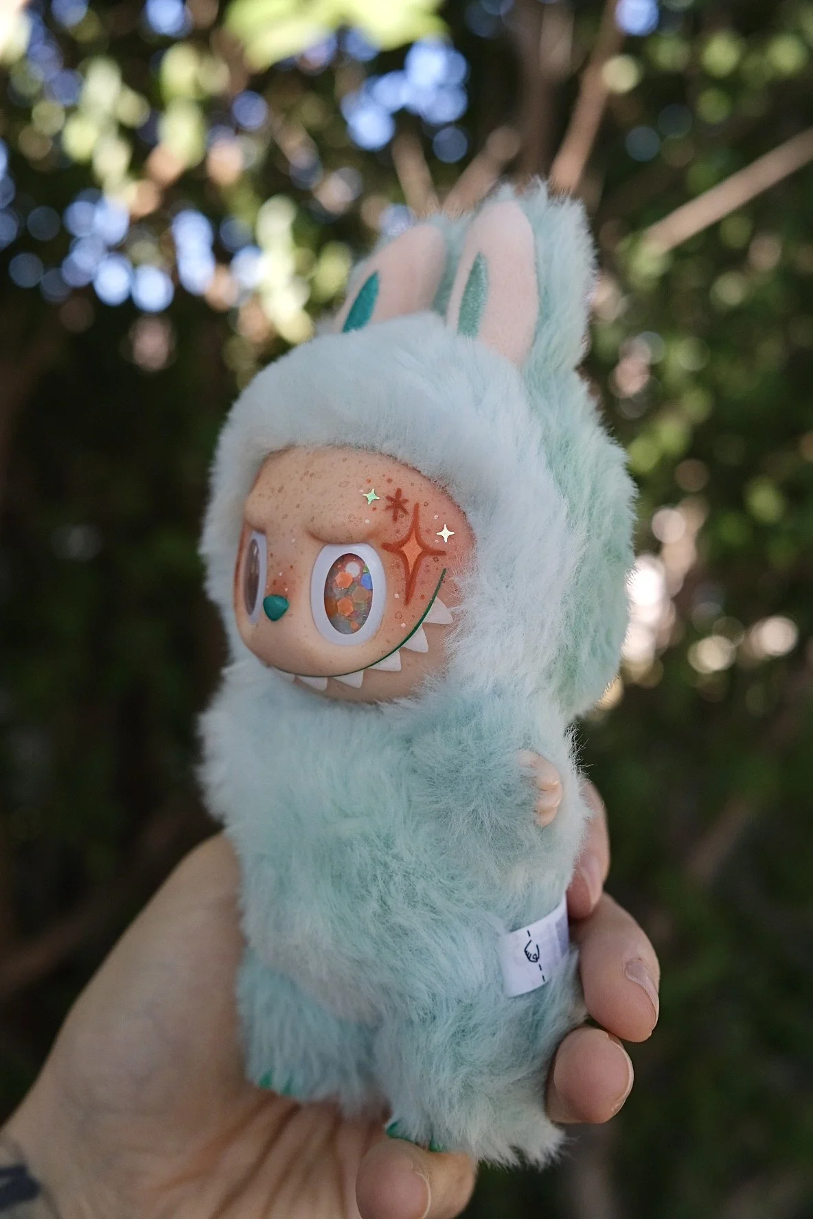 DSCF7536.jpg