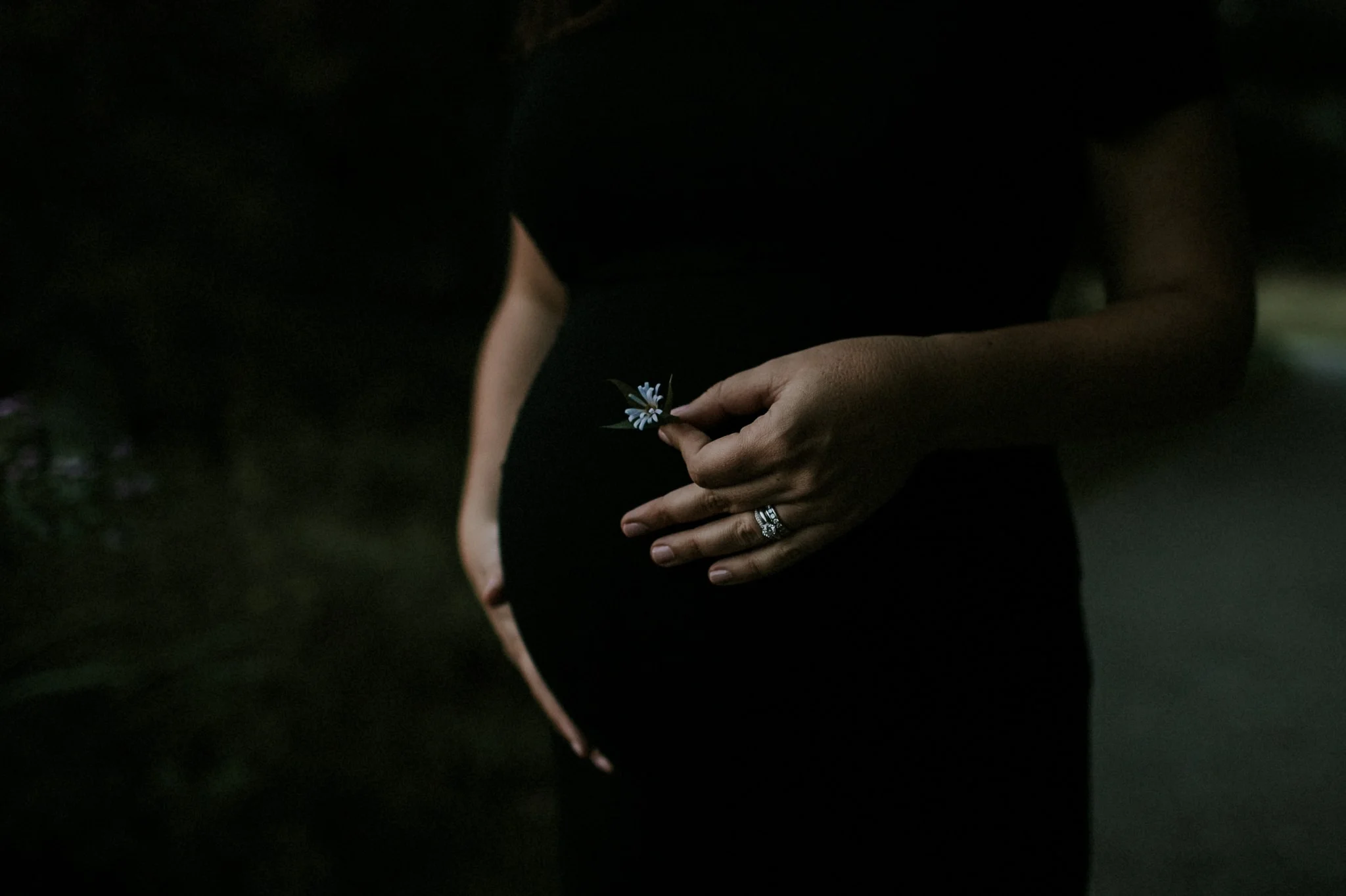 A photograph of a mother-to-be, cradling her belly with one hand and holding a flower in this maternity photography session by Lauren Giuffré Photography, a Boise Idaho maternity photographer.