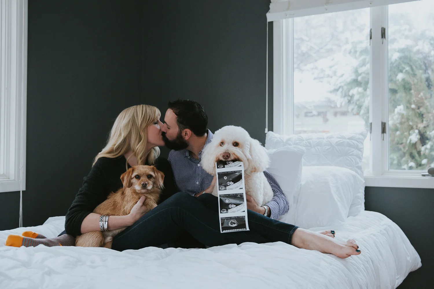 Couple sitting on their bed, holding their two dogs and kissing, while holding pictures from their ultrasound in a maternity photography session.