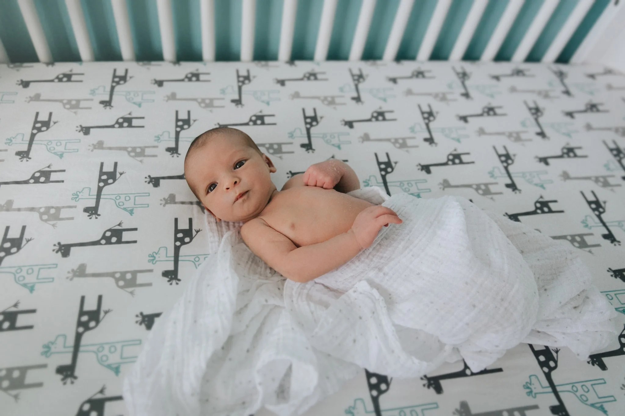 Website-Babies-27-min.jpg