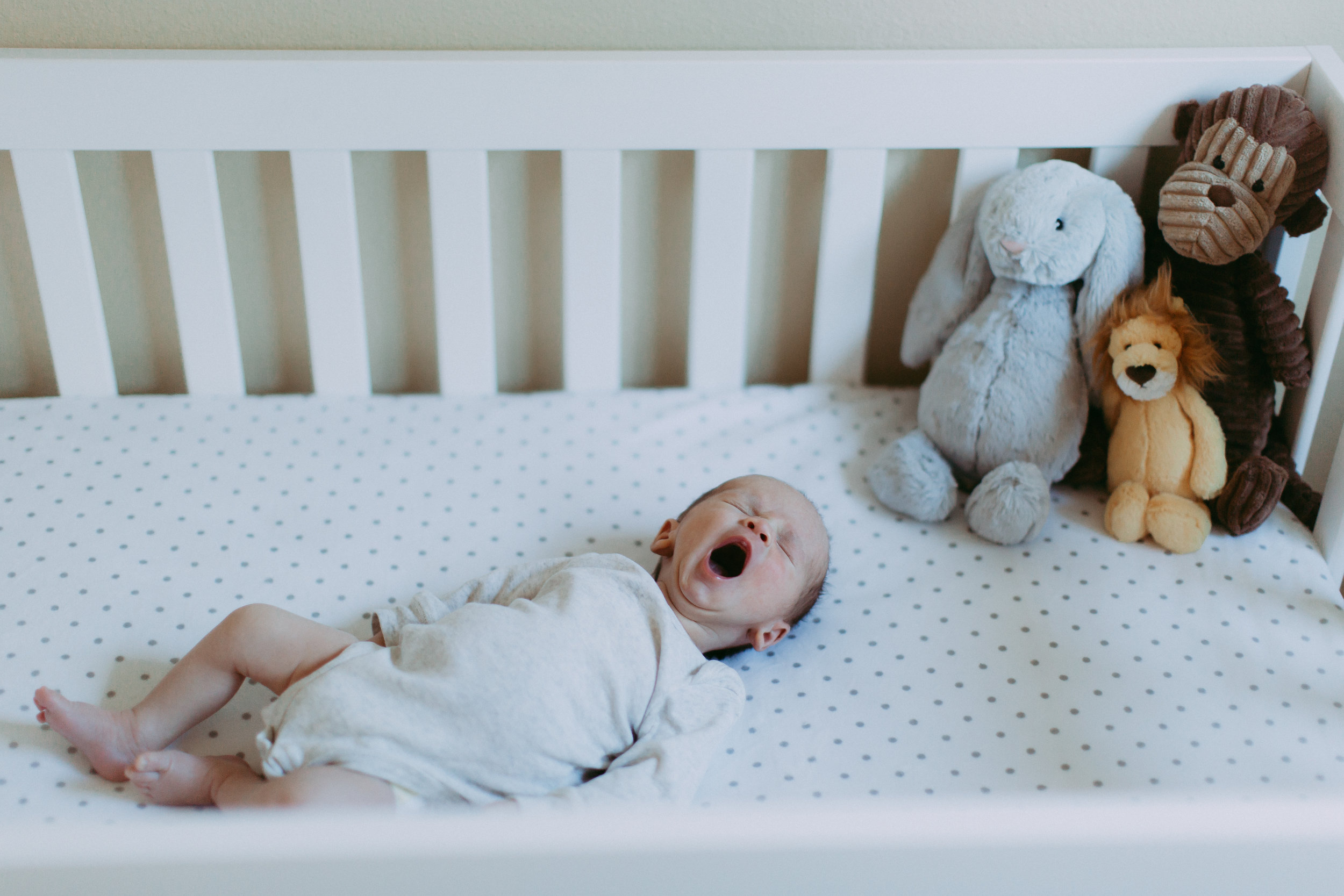 Brownridge Family Newborn Session-94.jpg