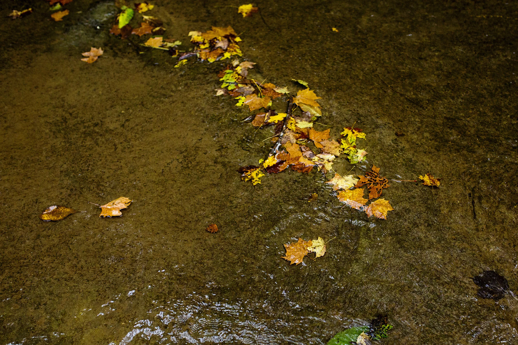 Seriously_Sabrina_Photography_Lexington_Kentucky_Creek_Engagement_AB004.jpg