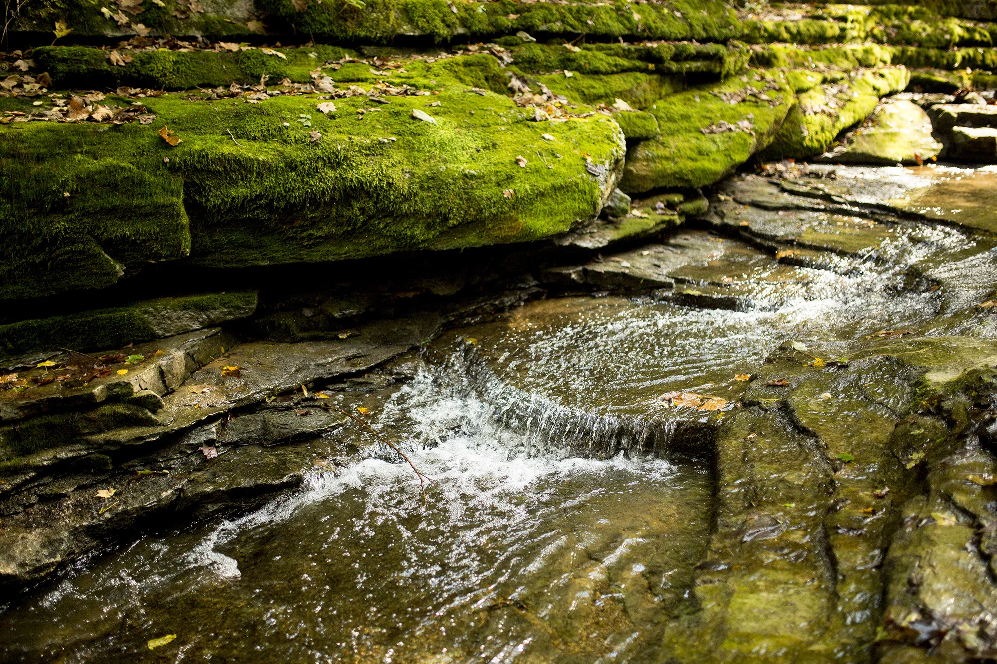Seriously_Sabrina_Photography_Lexington_Kentucky_Creek_Engagement_AB014.jpg