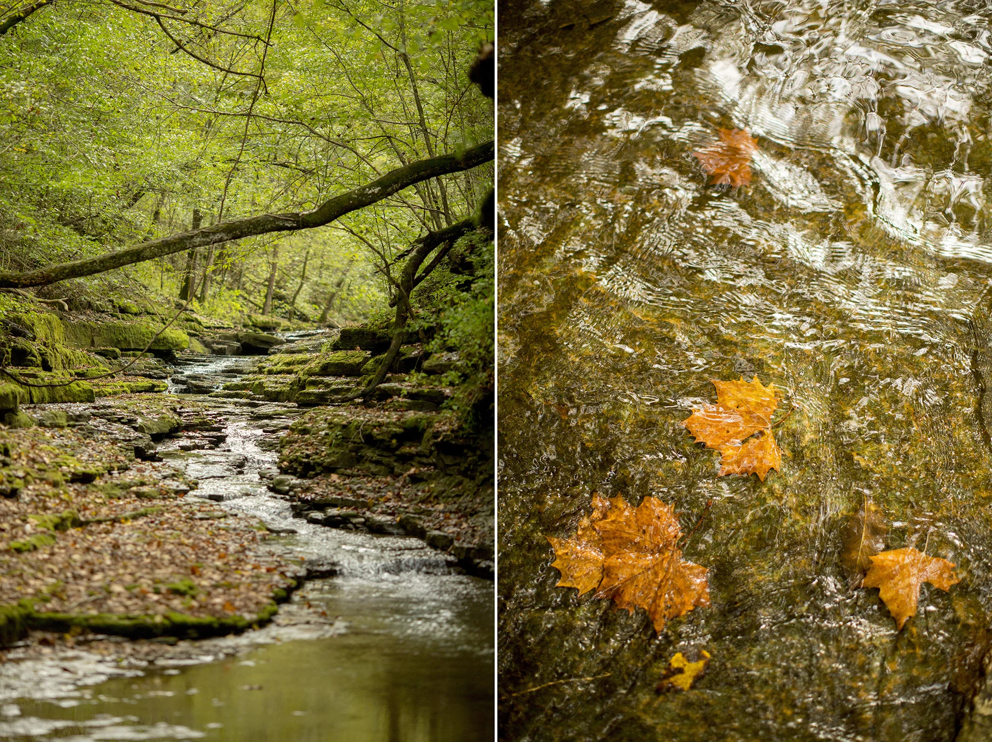 Seriously_Sabrina_Photography_Lexington_Kentucky_Creek_Engagement_AB120.jpg