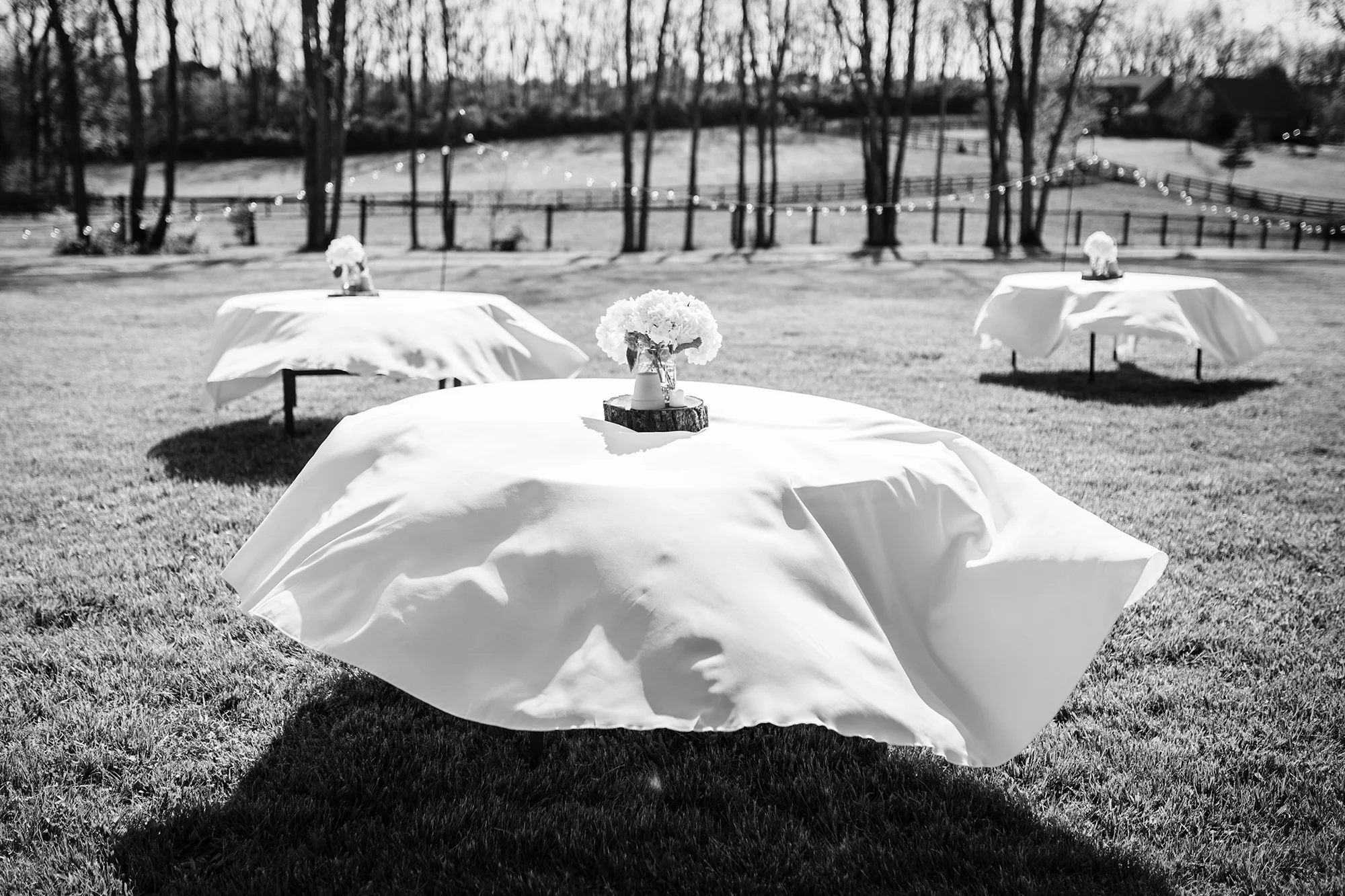 Seriously_Sabrina_Photography_Georgetown_Lexington_Kentucky_Outdoor_Backyard_Wedding_Dillon28.jpg