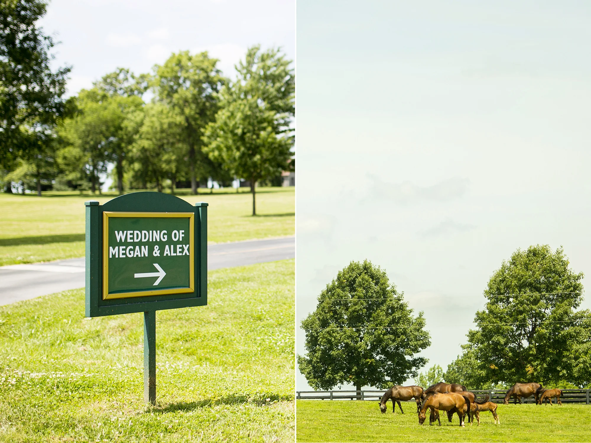 Seriously_Sabrina_Photography_Lexington_Kentucky_Keeneland_Keene_Barn_Wedding_Griffith46.jpg