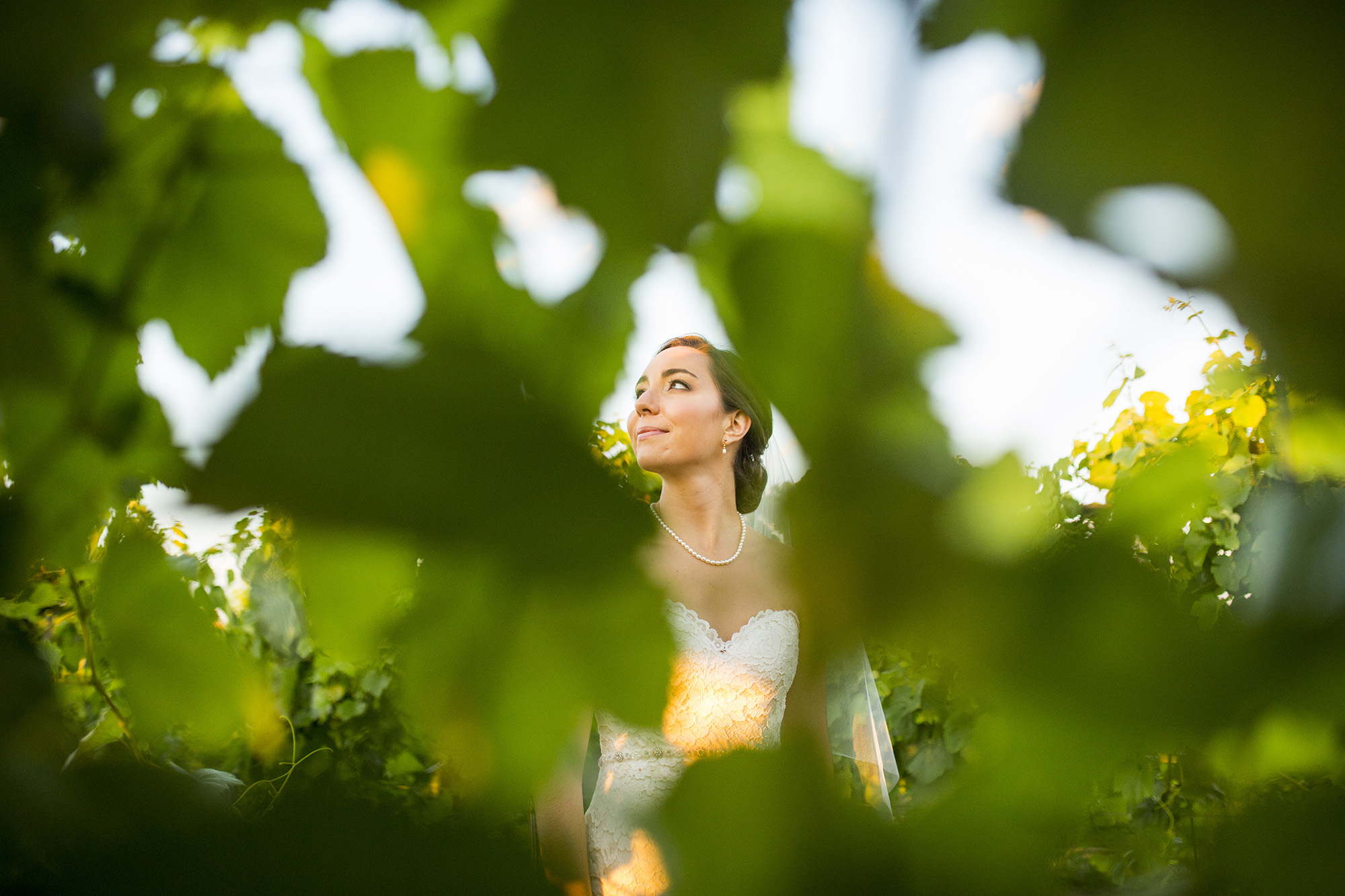 Seriously_Sabrina_Photography_Lexington_Kentucky_Talon_Winery_Wedding_Kjellsen166.jpg