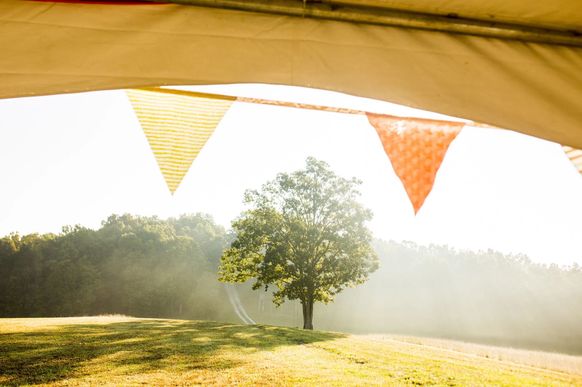 Seriously_Sabrina_Photography_Red_River_Gorge_Kentucky_Wedding_ShawnDana172.jpg
