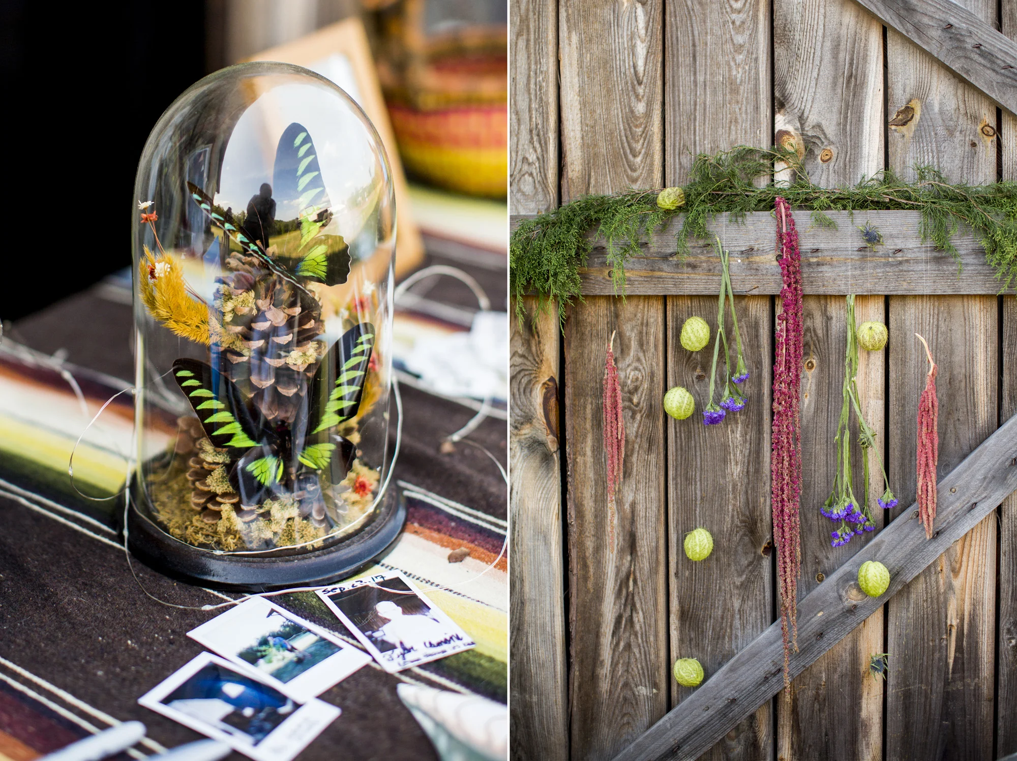 Seriously_Sabrina_Photography_Red_River_Gorge_Kentucky_Wedding_ShawnDana178.jpg