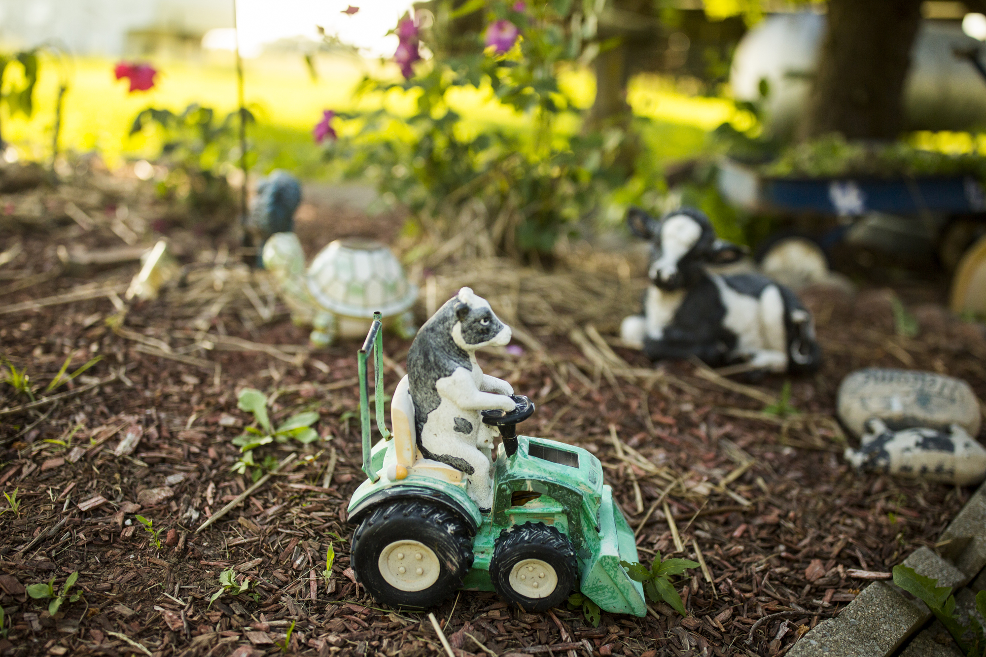 Seriously_Sabrina_Photography_Jericho_Acres_Kentucky_Dairy_May_23_2018_4.jpg