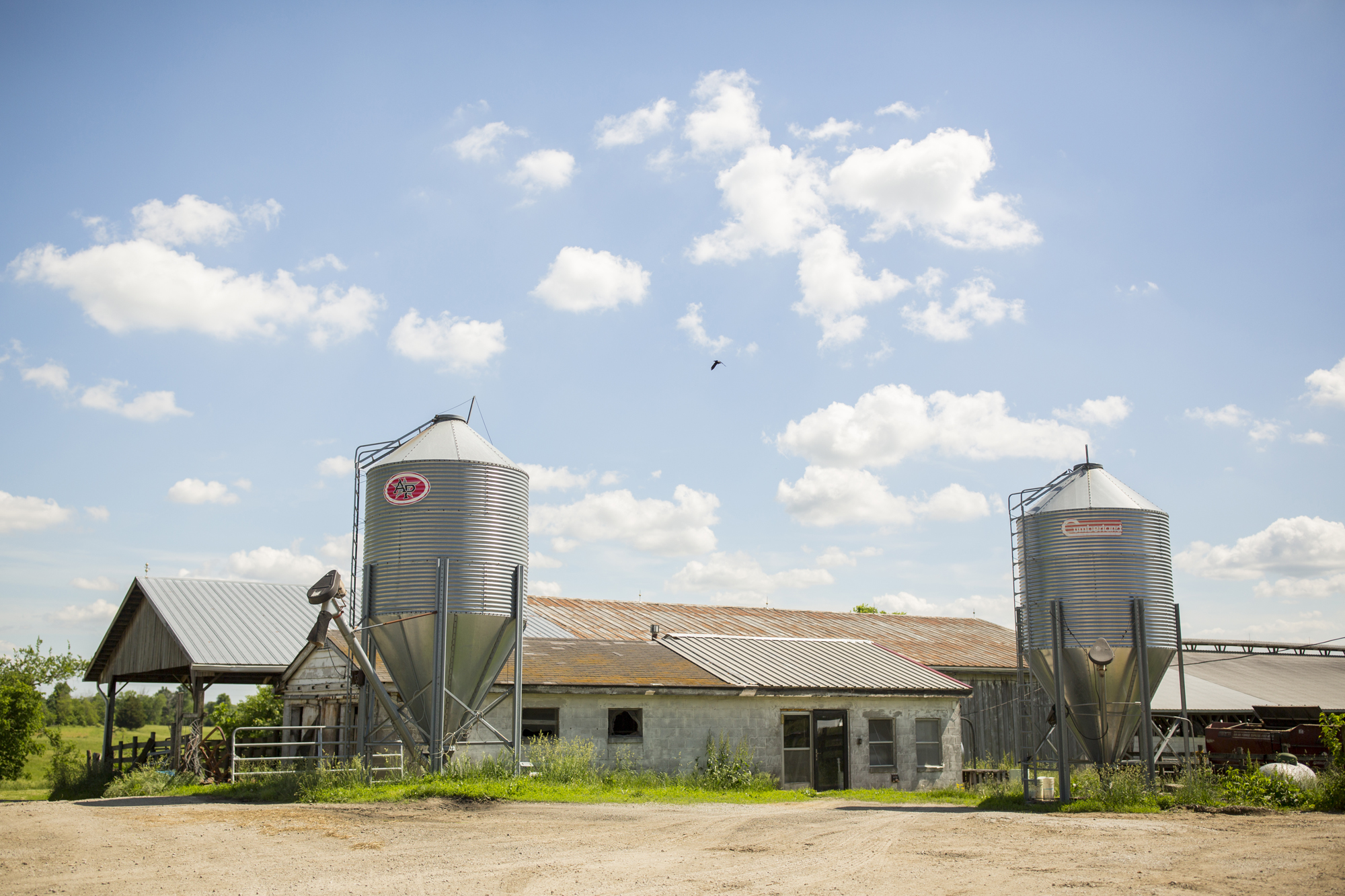Seriously_Sabrina_Photography_Jericho_Acres_Kentucky_Dairy_May_23_2018_5.jpg