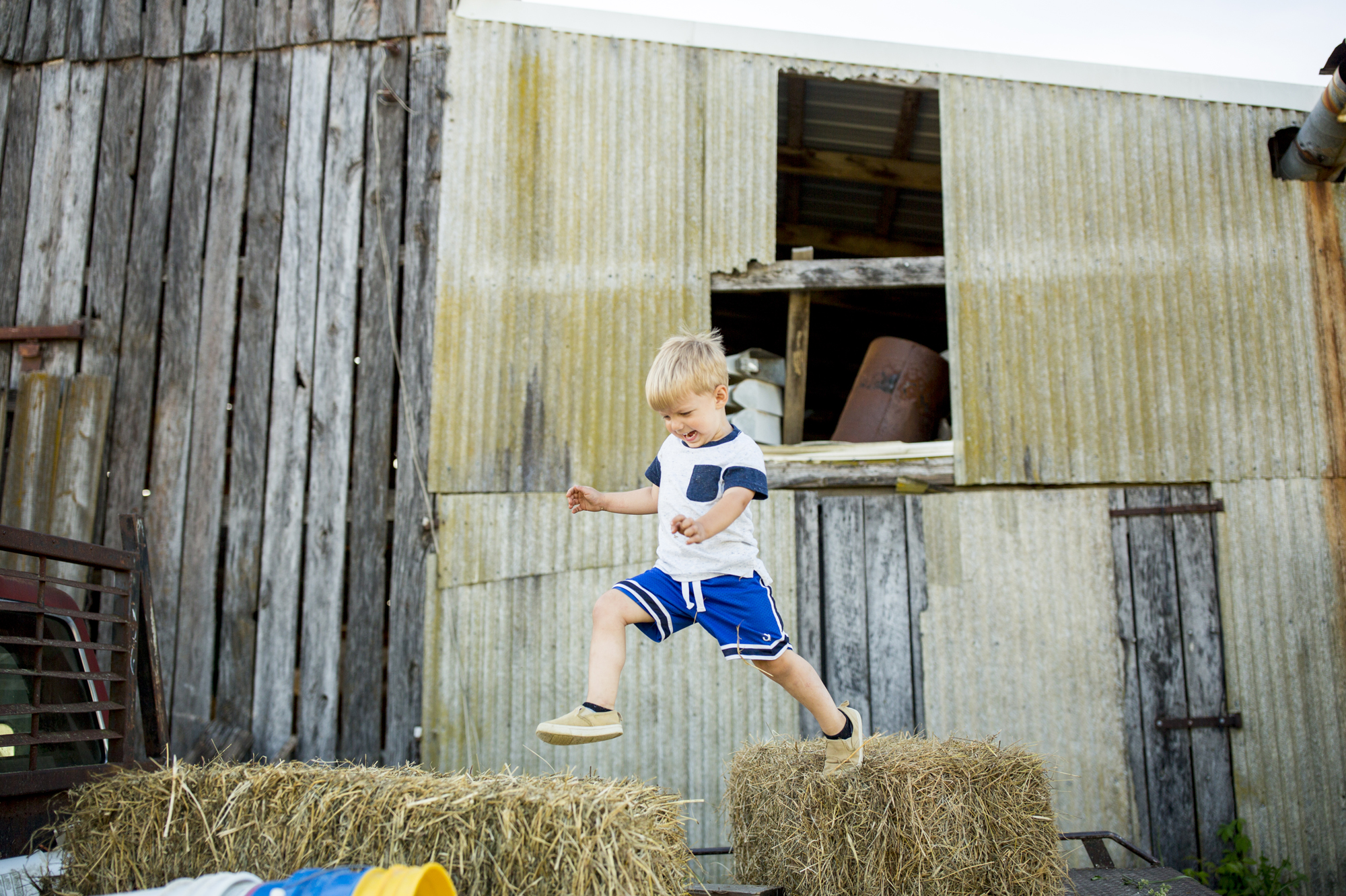 Seriously_Sabrina_Photography_Jericho_Acres_Kentucky_Dairy_May_23_2018_48.jpg