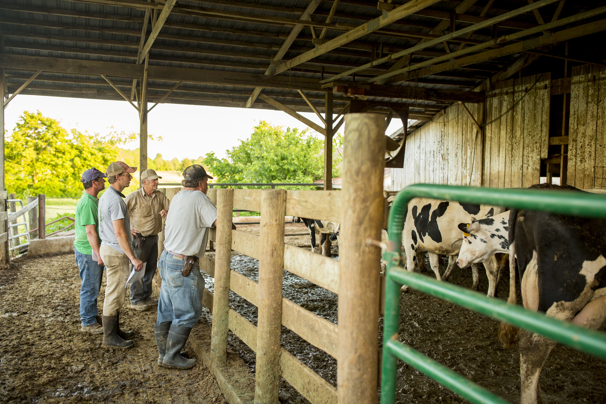 Seriously_Sabrina_Photography_Jericho_Acres_Kentucky_Dairy_May_23_2018_73.jpg