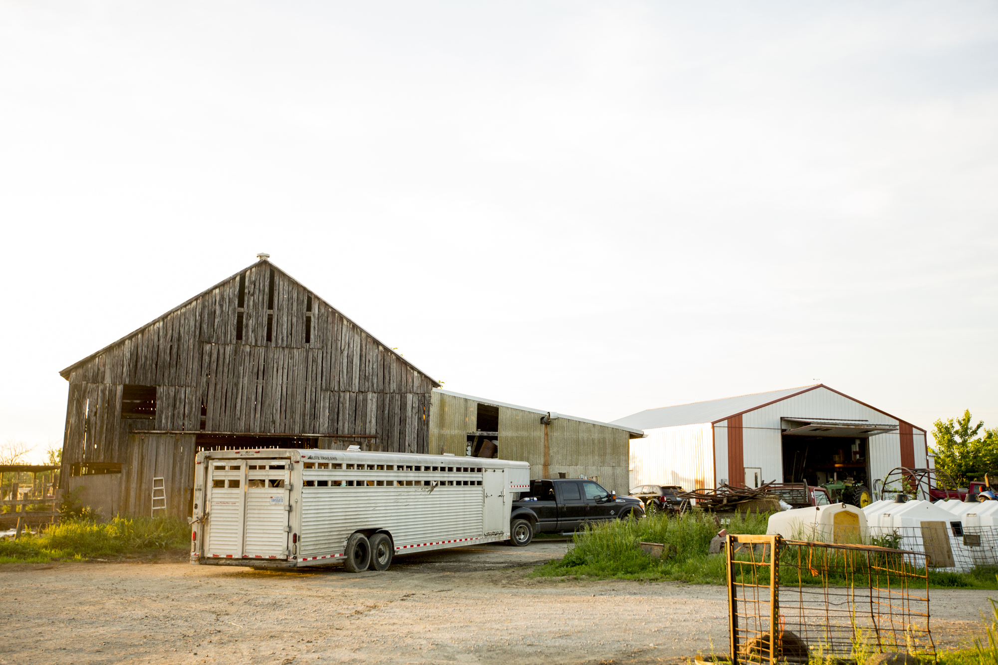 Seriously_Sabrina_Photography_Jericho_Acres_Kentucky_Dairy_May_23_2018_80.jpg