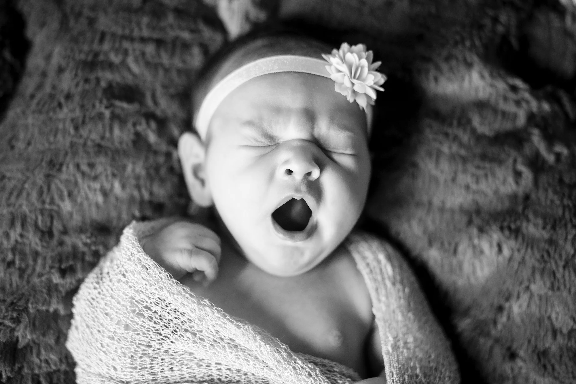 Seriously_Sabrina_Photography_Lexington_Kentucky_Newborn_Vanderhorst11.jpg
