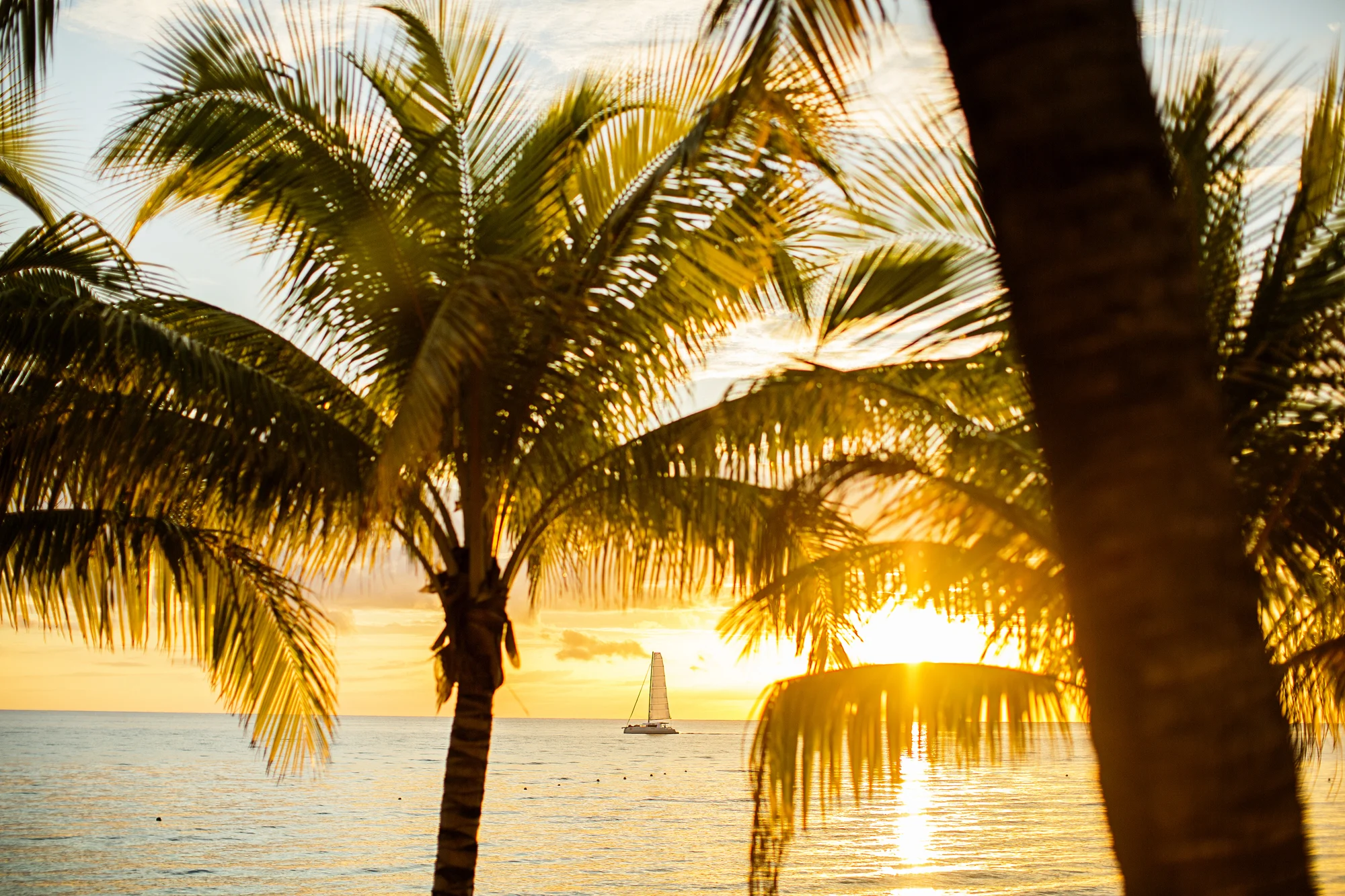 Seriously_Sabrina_Photography_Occidental_Cozumel_Mexico_Destination_wedding_Dunlap13.jpg