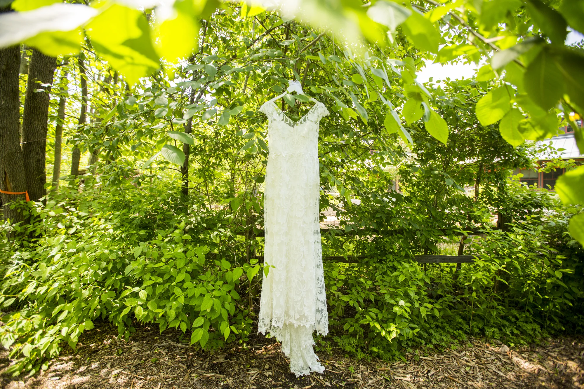 Seriously_Sabrina_Photography_Milwaukee_Wisconsin_Wedding_Schlitz_Audubon_Nature_Center_BrunderRife8.jpg