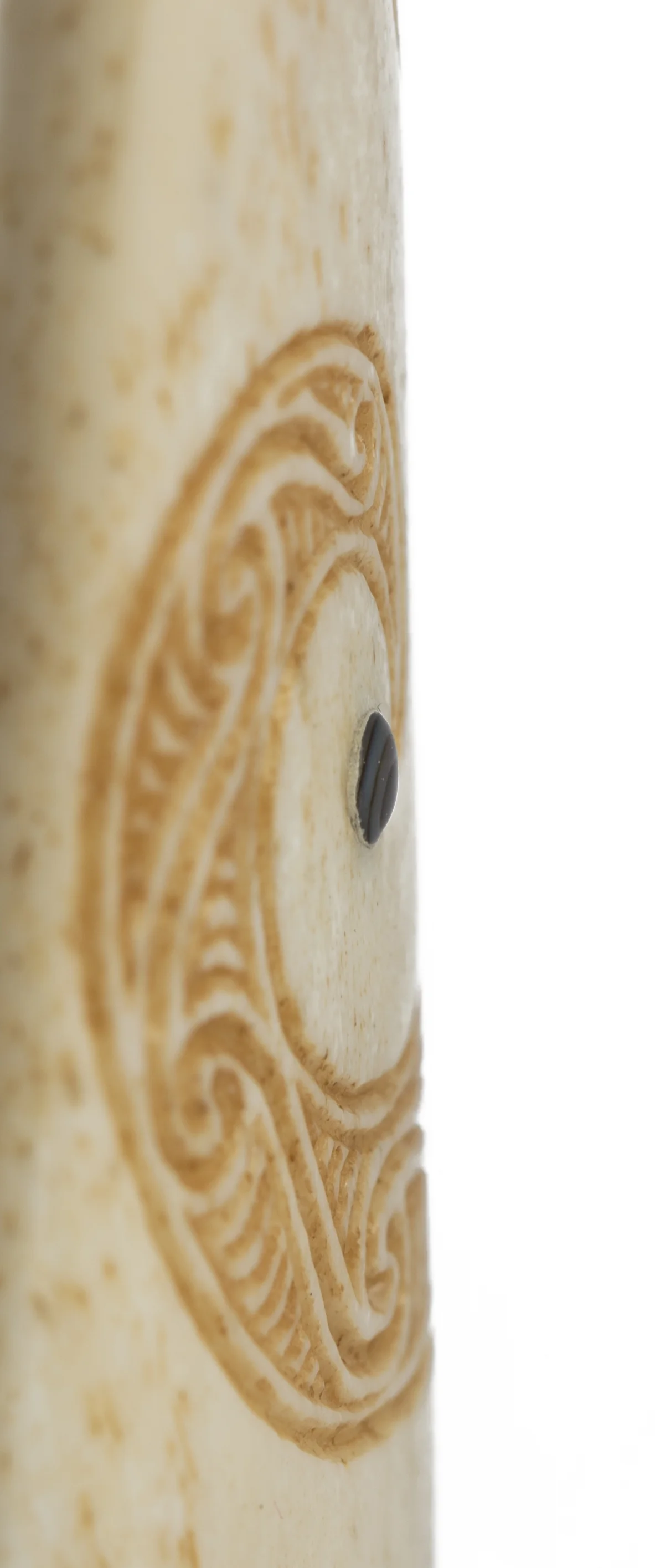 Wisdom eye - Journey_2.jpg