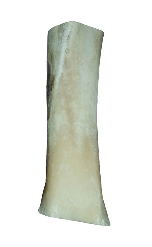 Shin bone