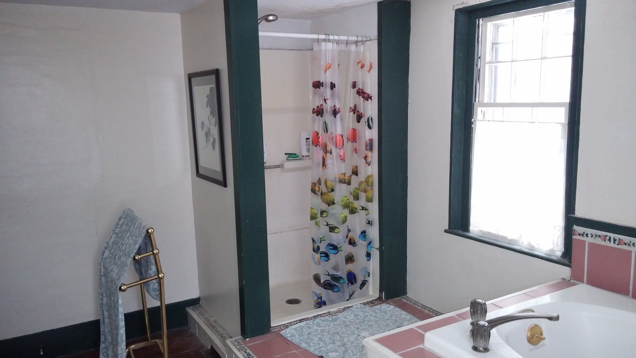 bathroom before