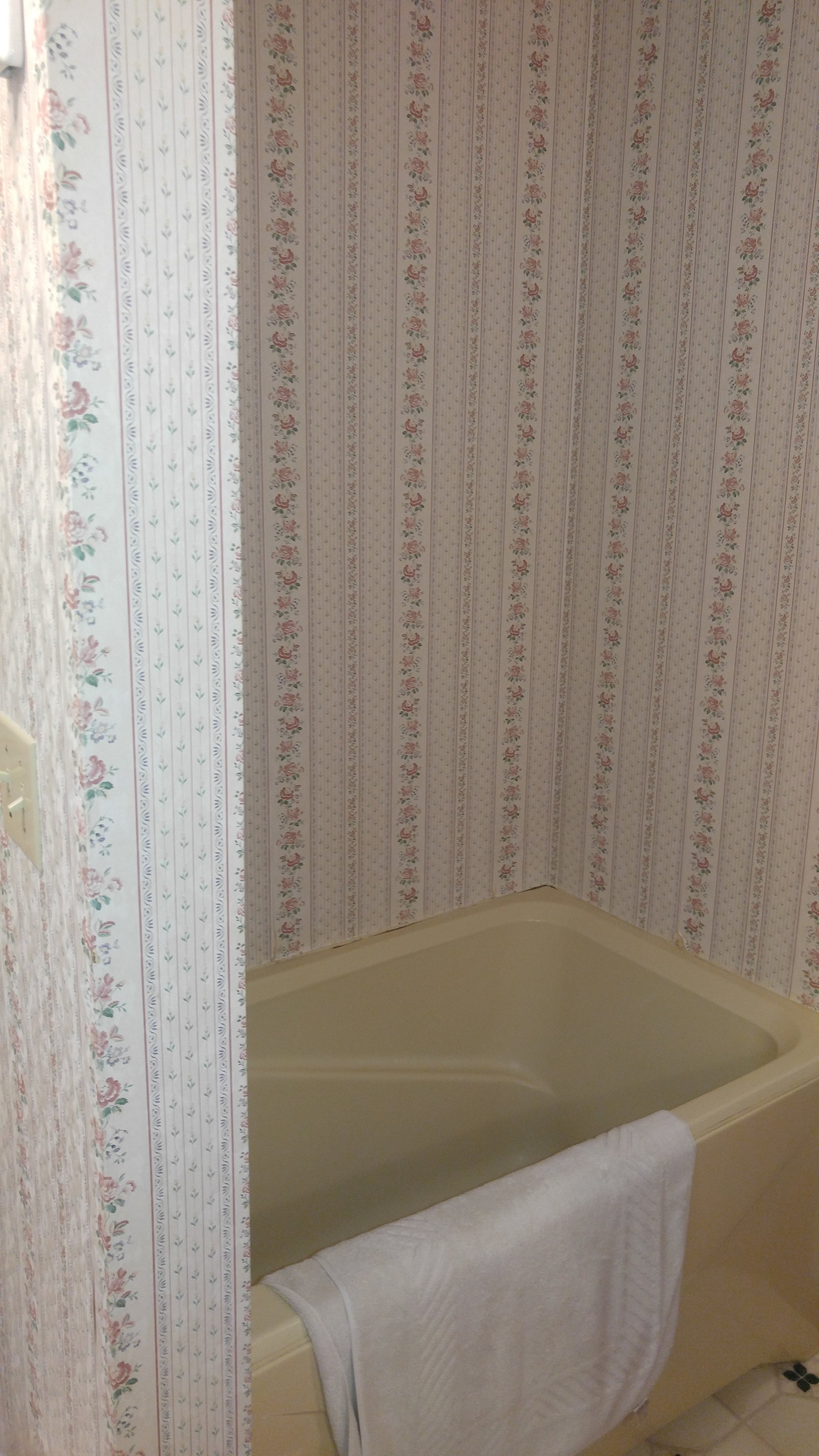 bathroom before