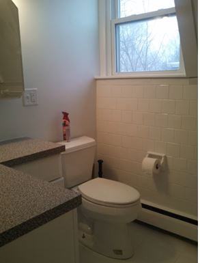 Toilet after