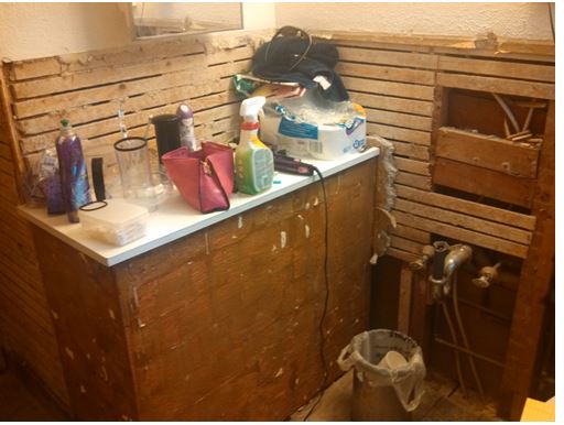 bathroom before