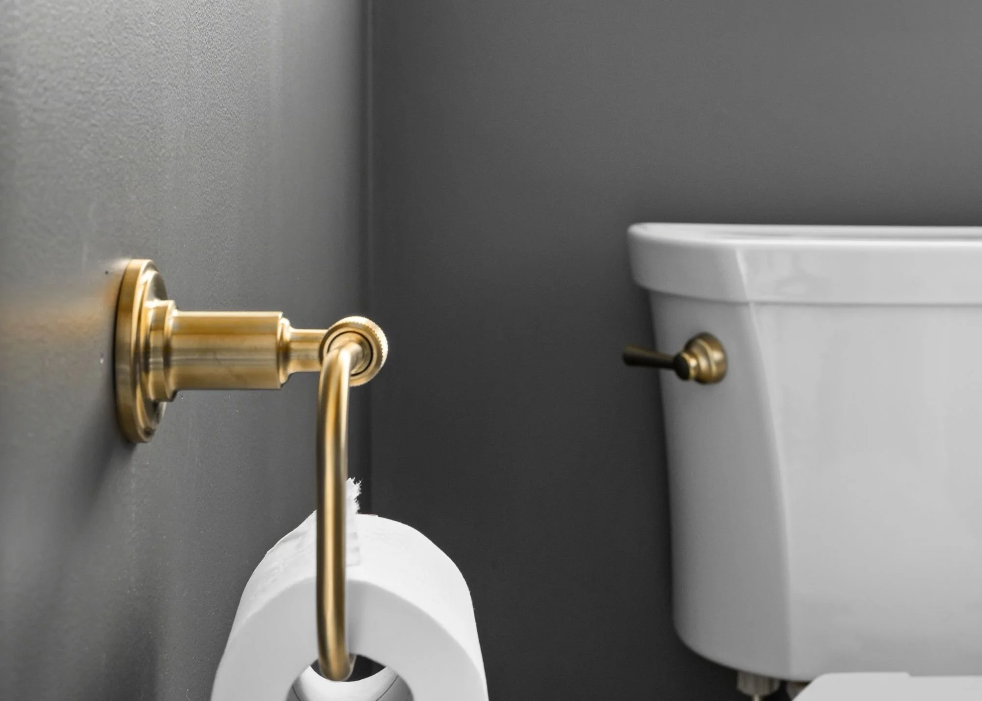 Brushed brass toilet paper holder and coordinating toilet handle add a warm, refined accent against the deep gray walls in this Boxborough master bathroom.