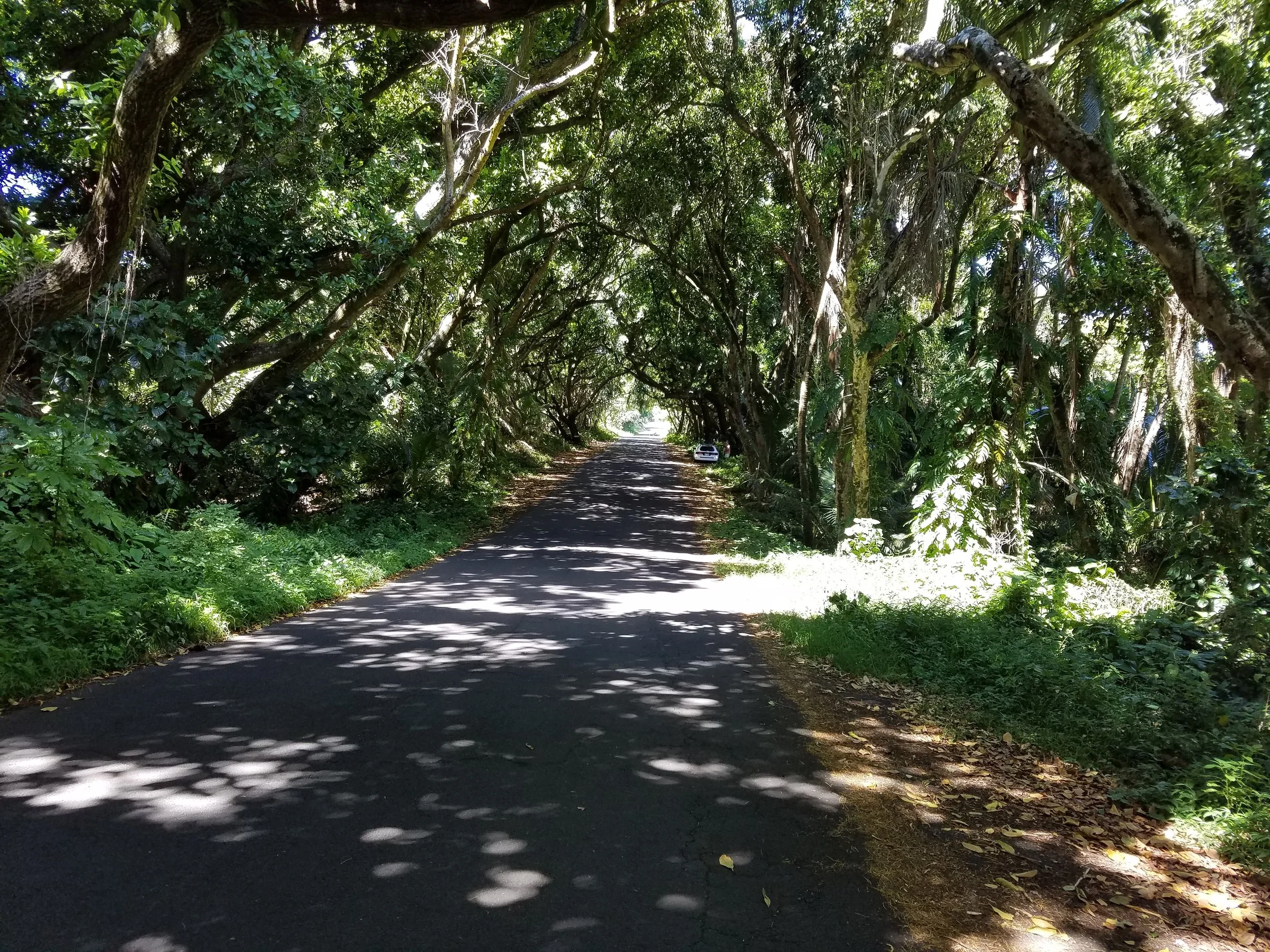 the road.jpg
