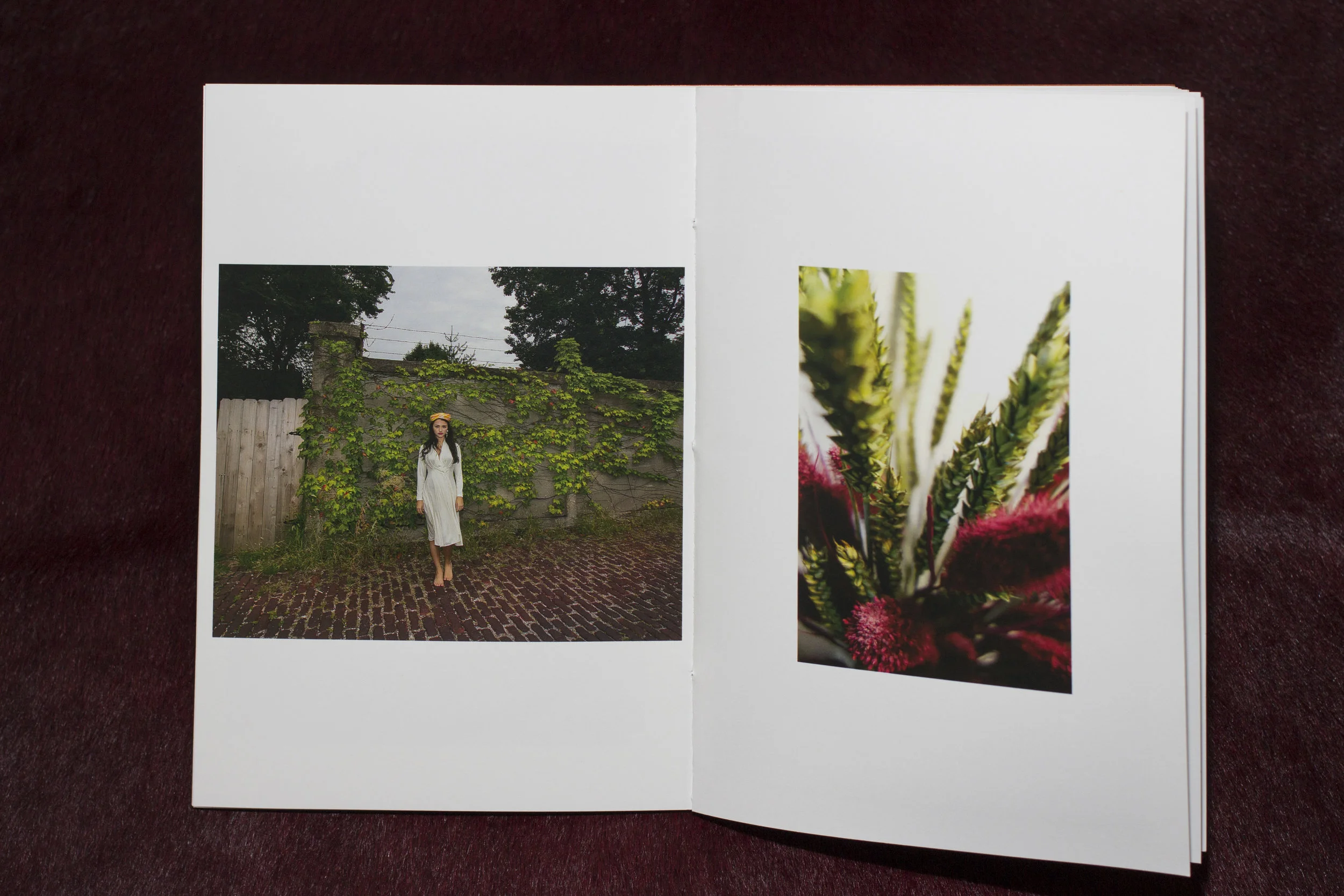 Saint Louis, Photography done by Jenna Carlie Los Angeles Based Photographer