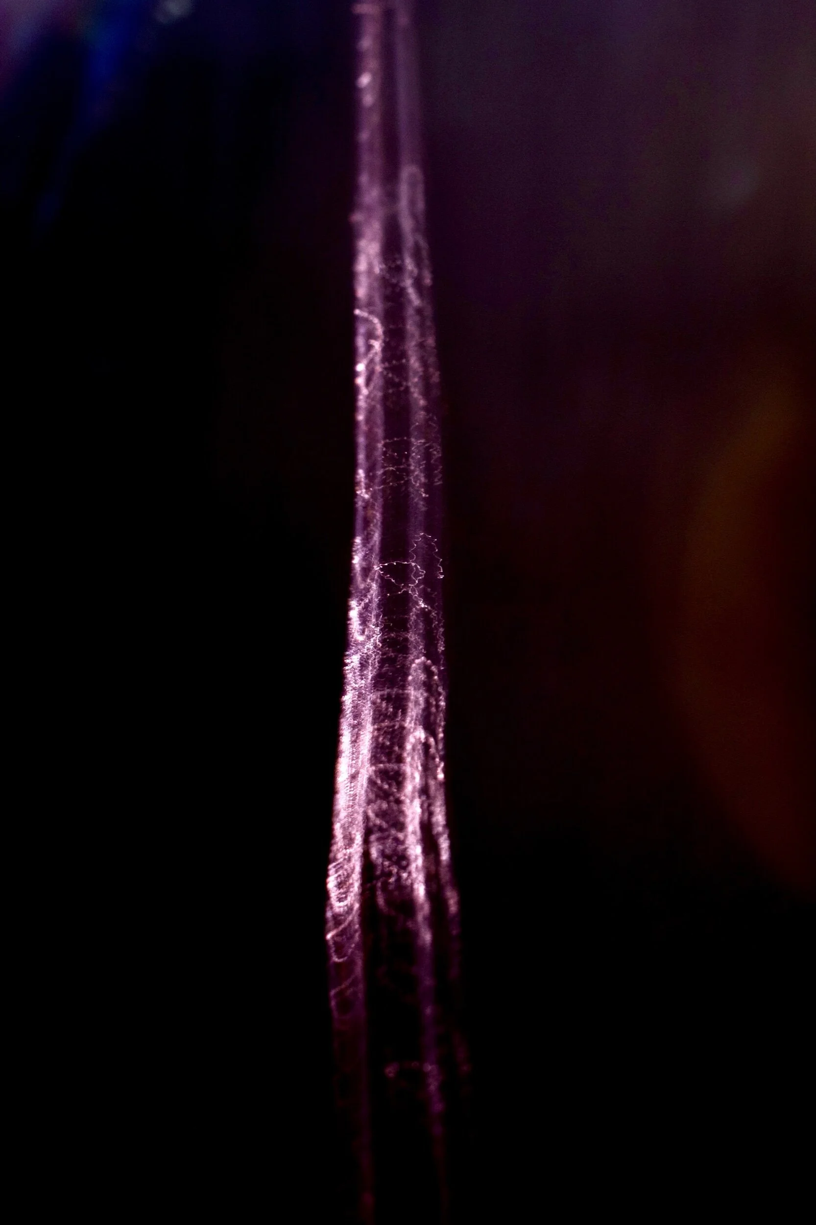 283_Jenna Carlie_Gong.jpeg