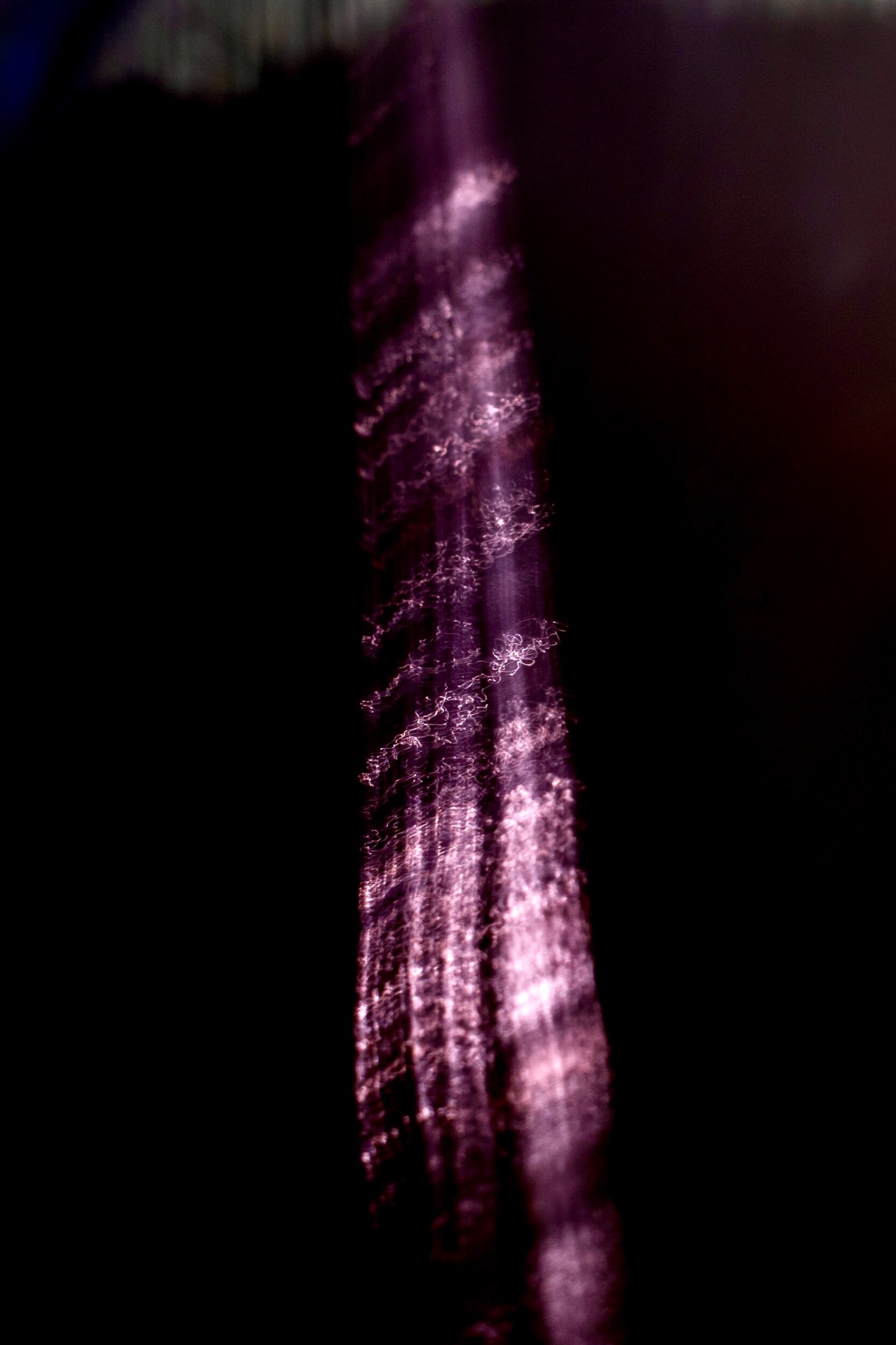 282_Jenna Carlie_Gong.jpeg