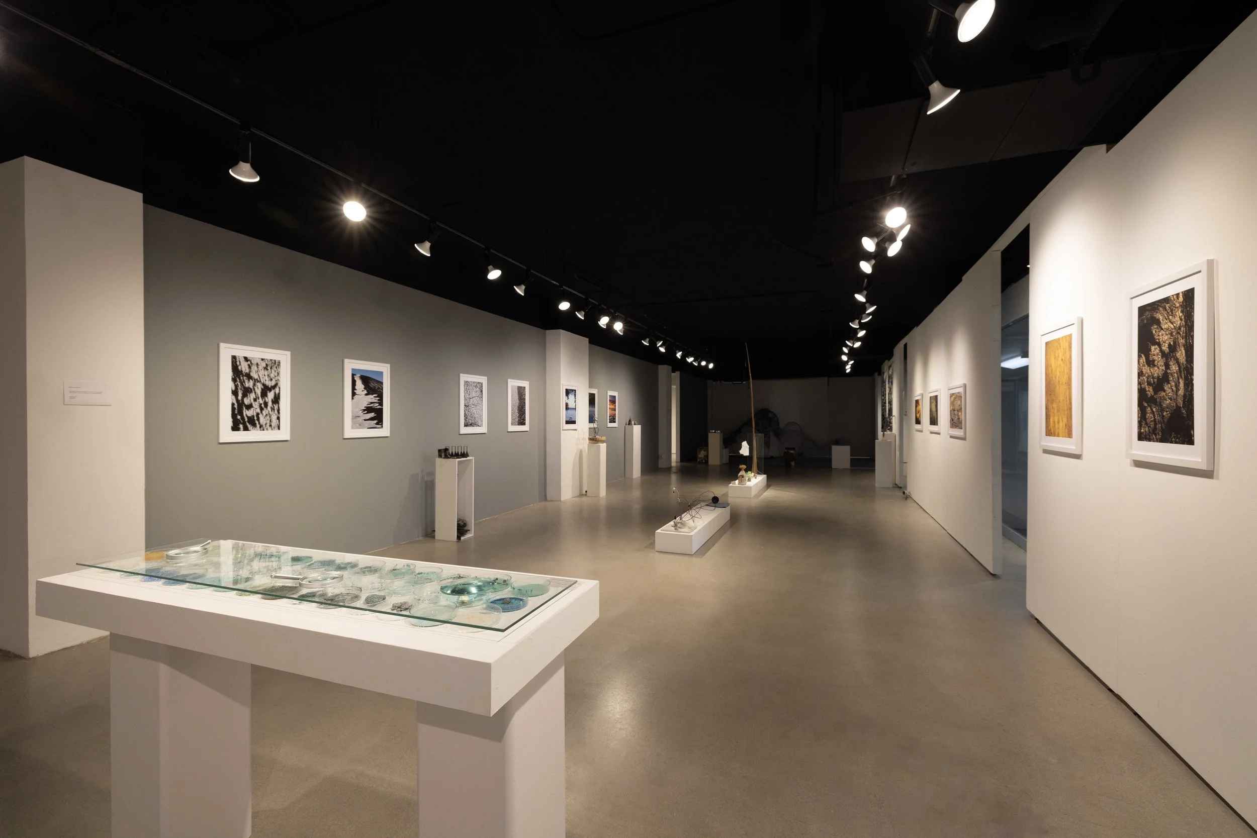 Solo exhibition 2026 - Nazareli Press, Los Angeles
