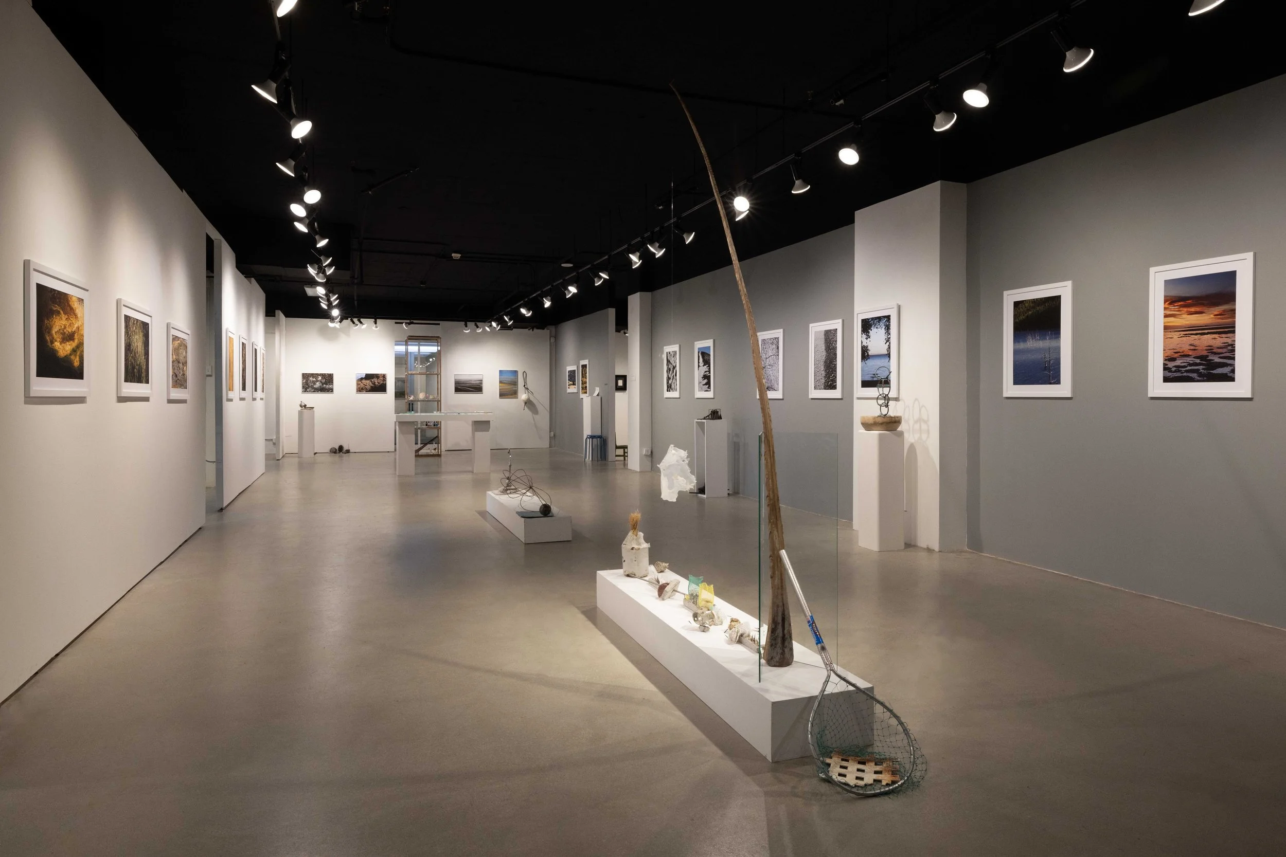 Solo Exhibition 2026 - Nazareli Press, Los Angeles