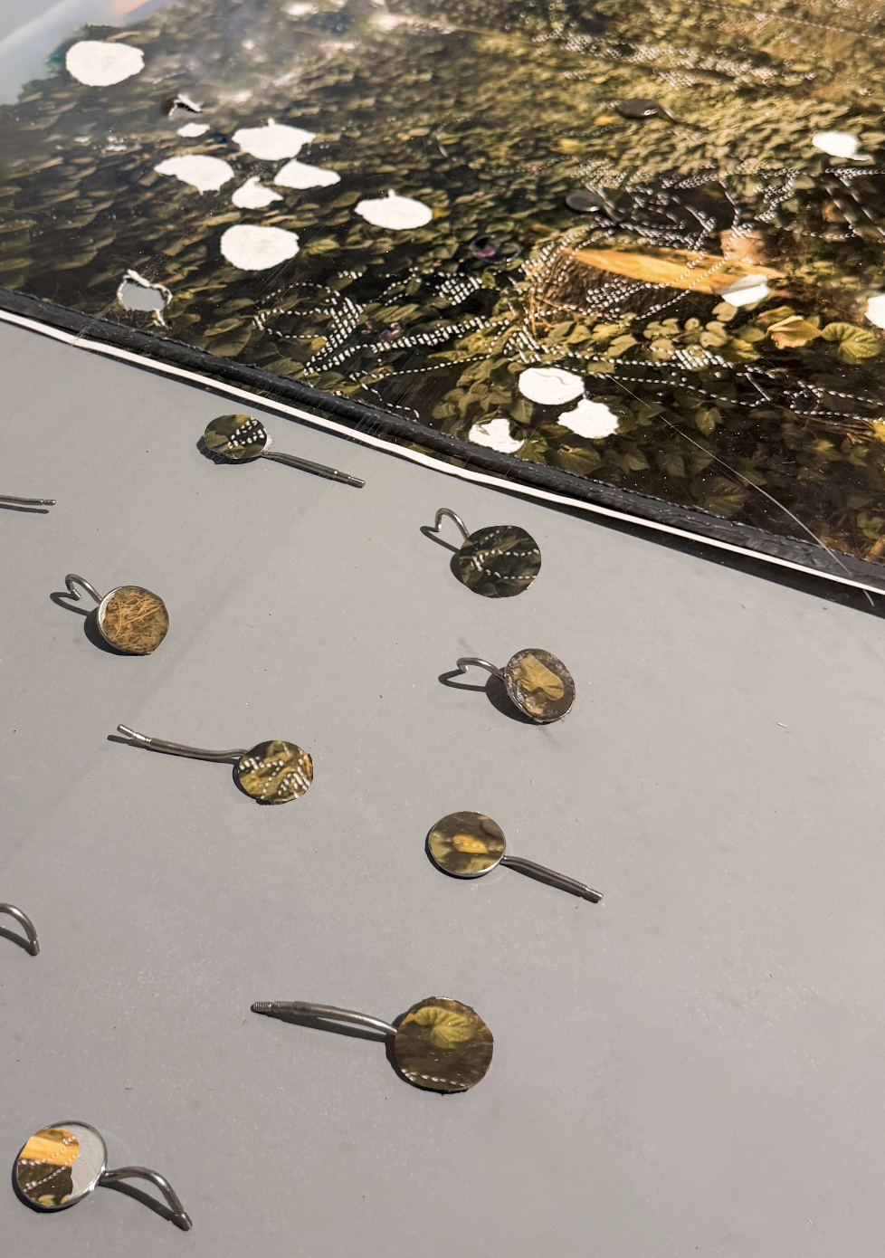 Images of nature with erasure transffered to discarded dental mirrors, 2022