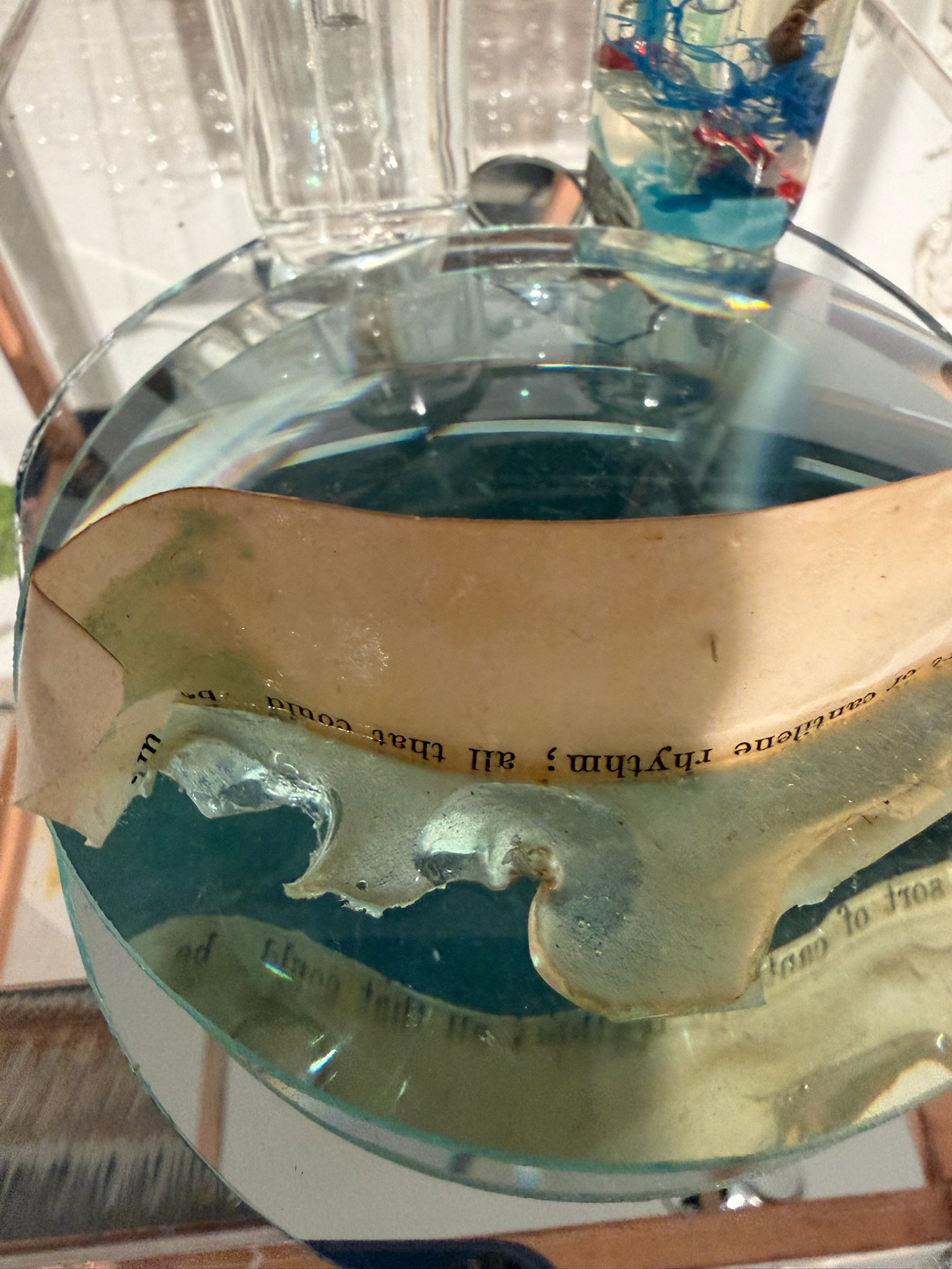 Text coated in seaweed bioplastic on microscope lens
