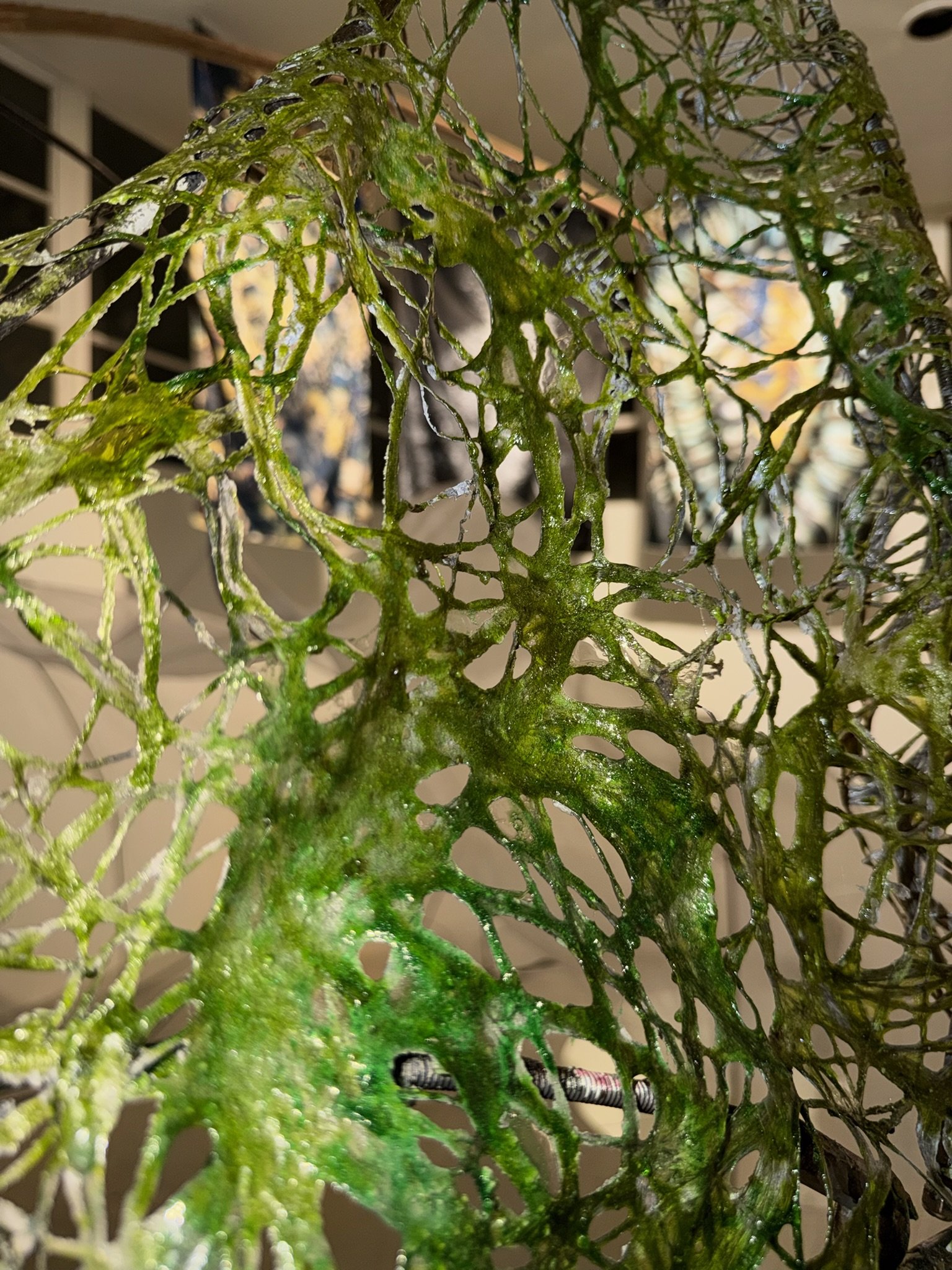 Seaweed bioplastic &amp; dye on fabric