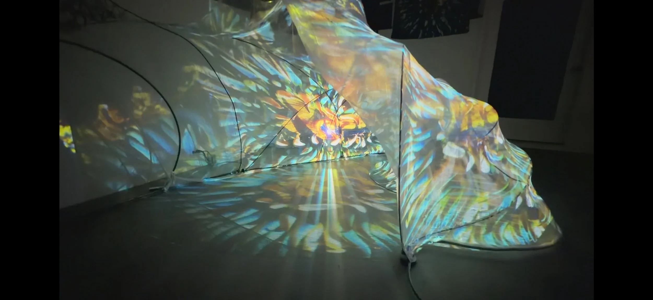 15 foot interactive sculpture on preserving ocean ecosystems