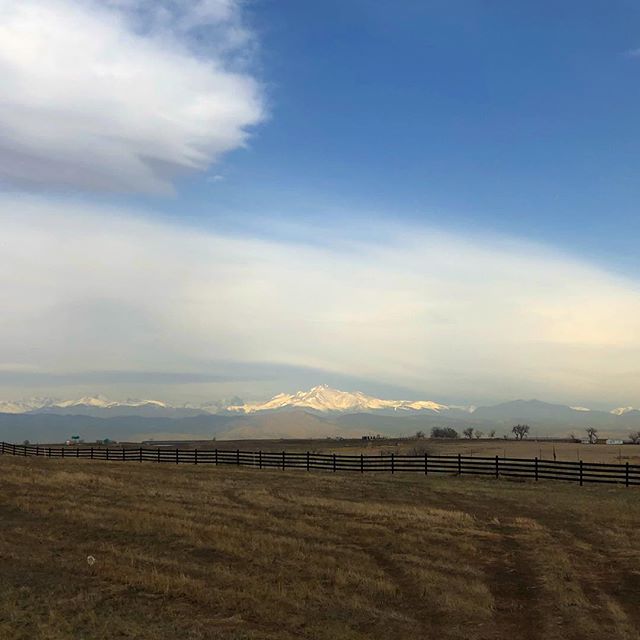 Had a great visit at Colorado State University speaking with very talented vets who are looking for customized plates! We offer custom implant services so DM or go to our website to request more info!