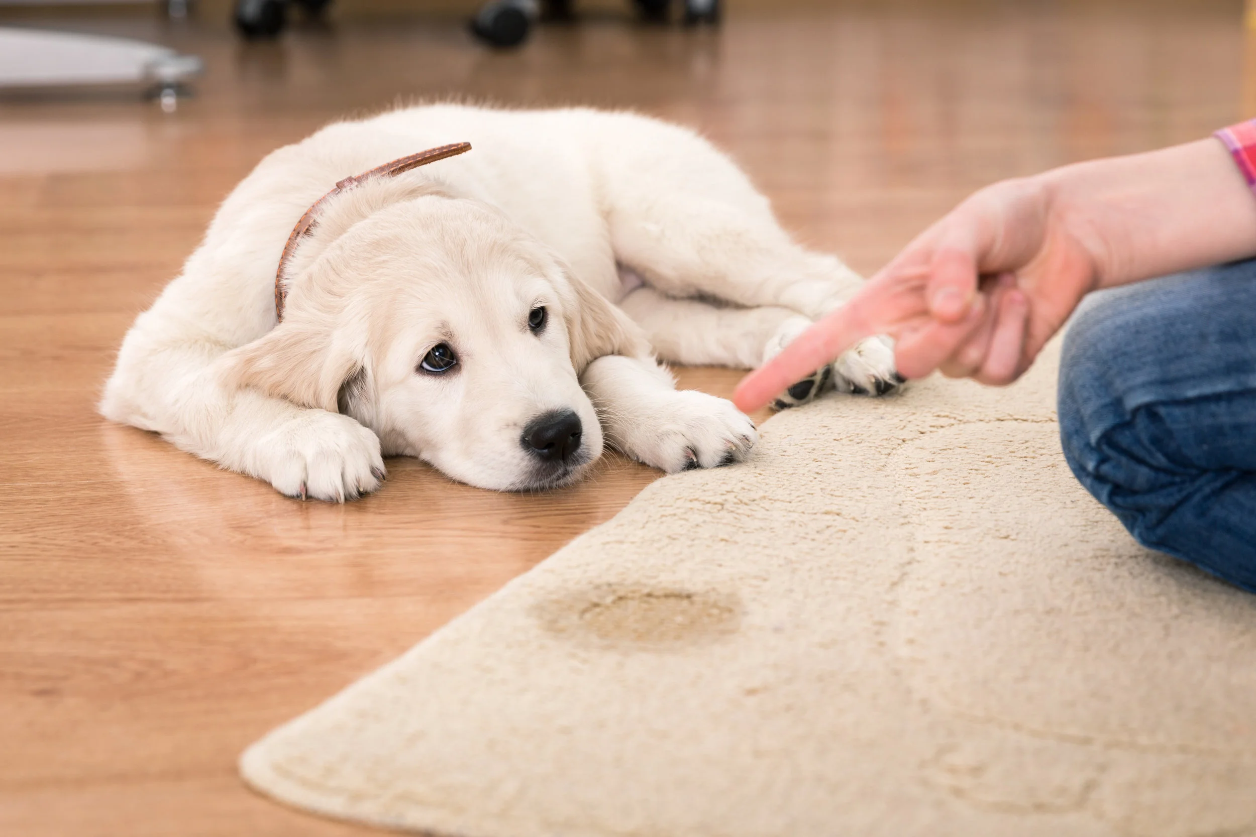 canstockphoto34573389.jpg
