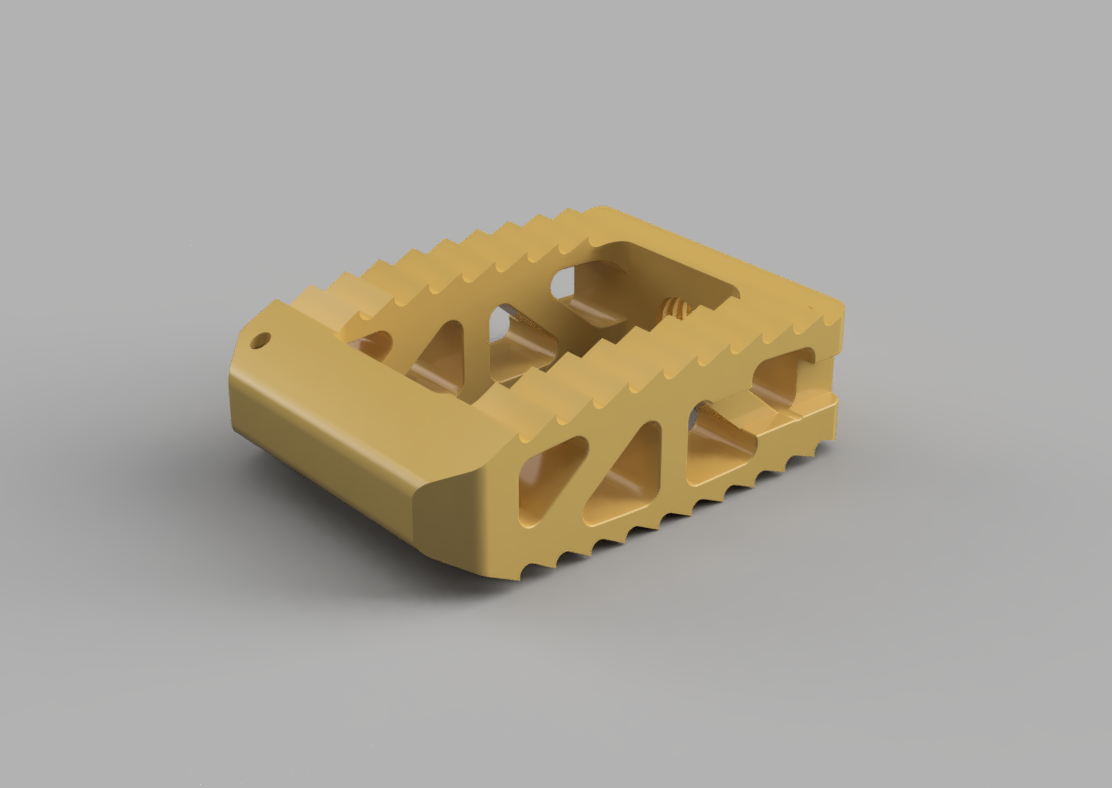 PEEK_Spacer_Model1_2018-Mar-23_02-24-20PM-000_CustomizedView1963561339.png