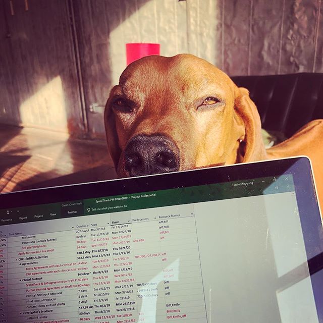Helping mama work ❤️