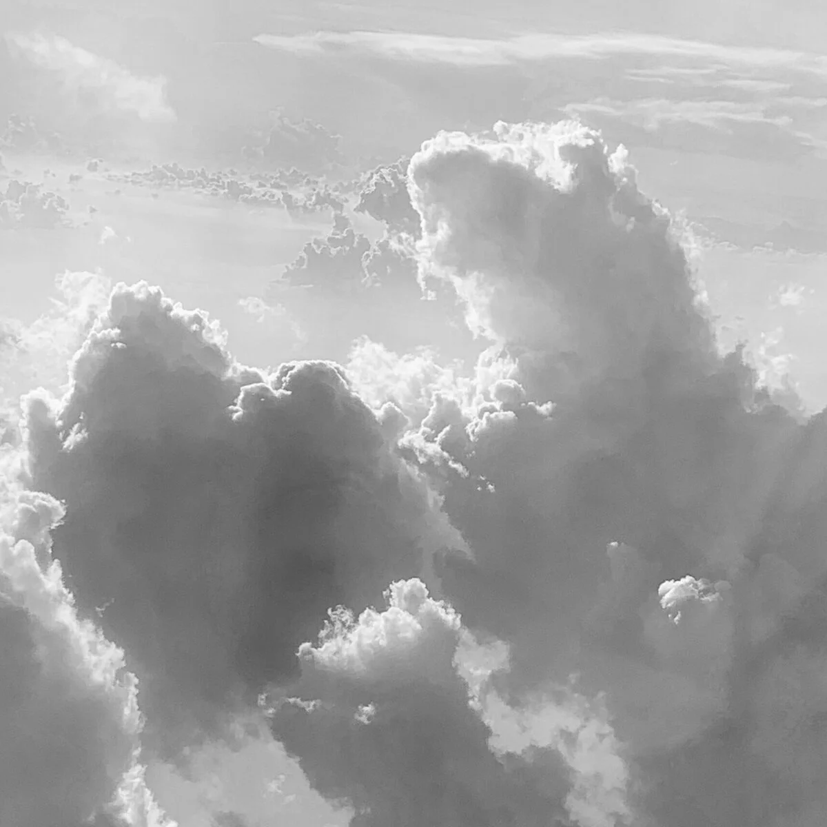 The New Norm by Alex Carroll