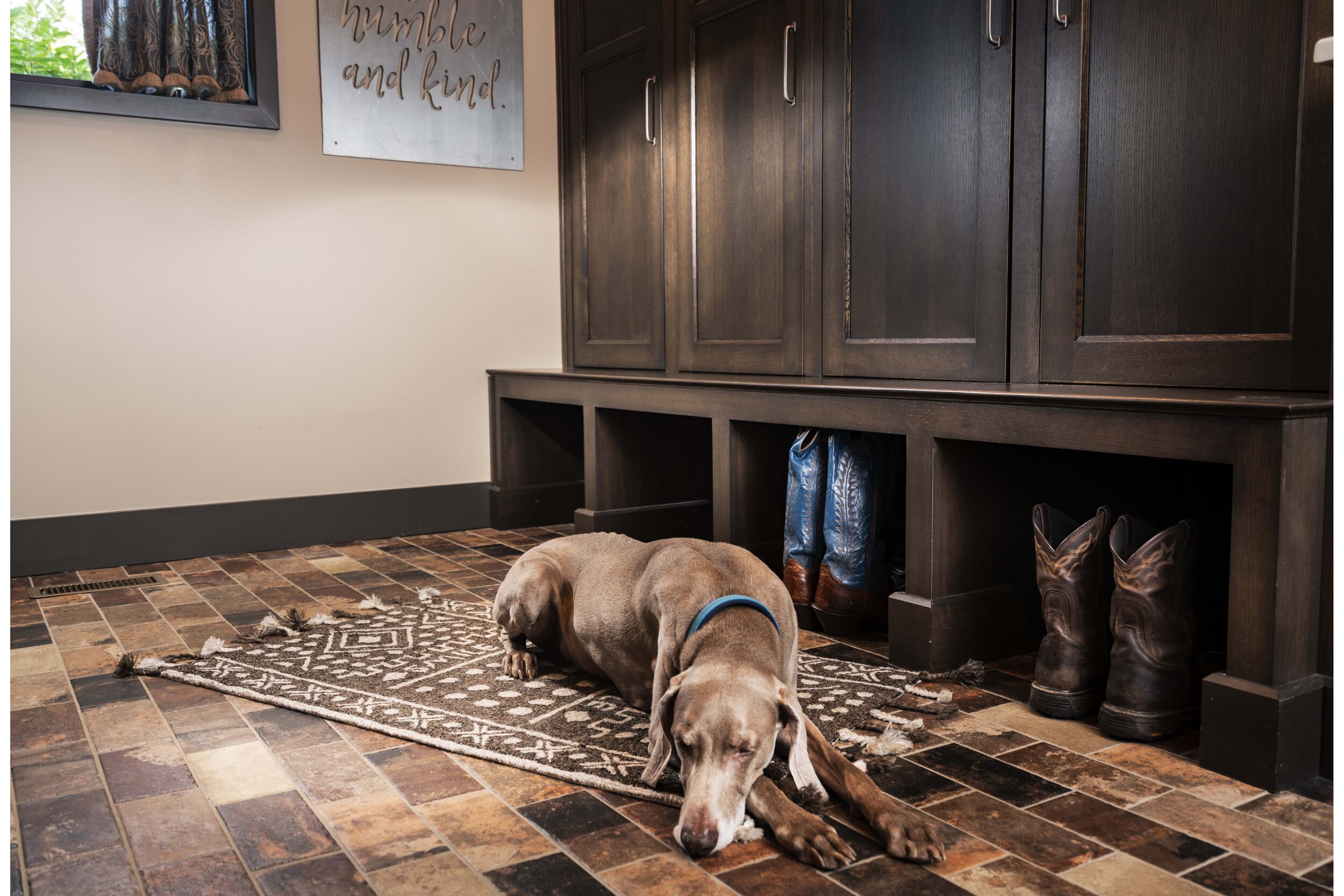 Ozarks Mudroom & Butler's Pantry - Home of the Year 2019