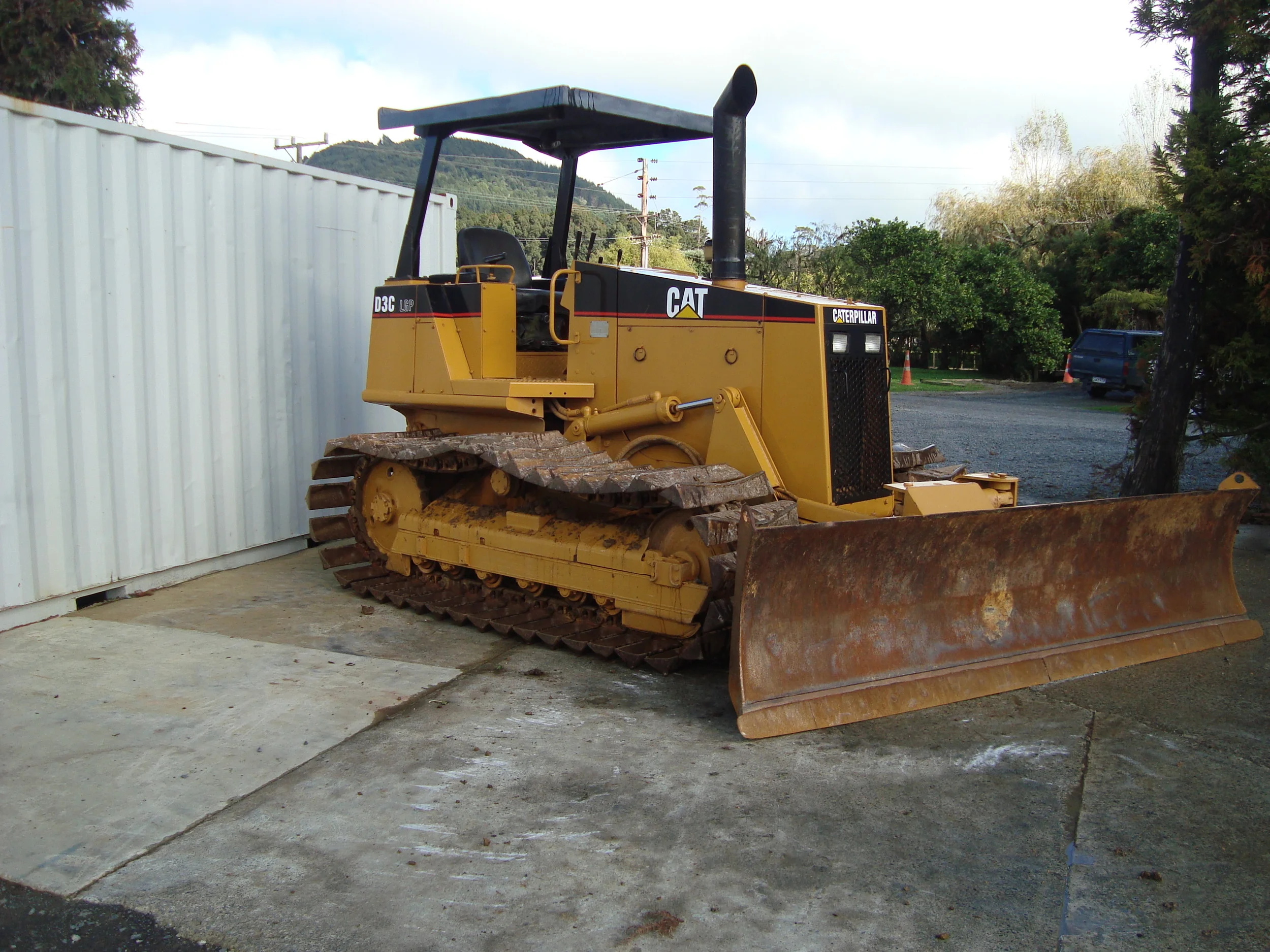 7T CAT D3.JPG