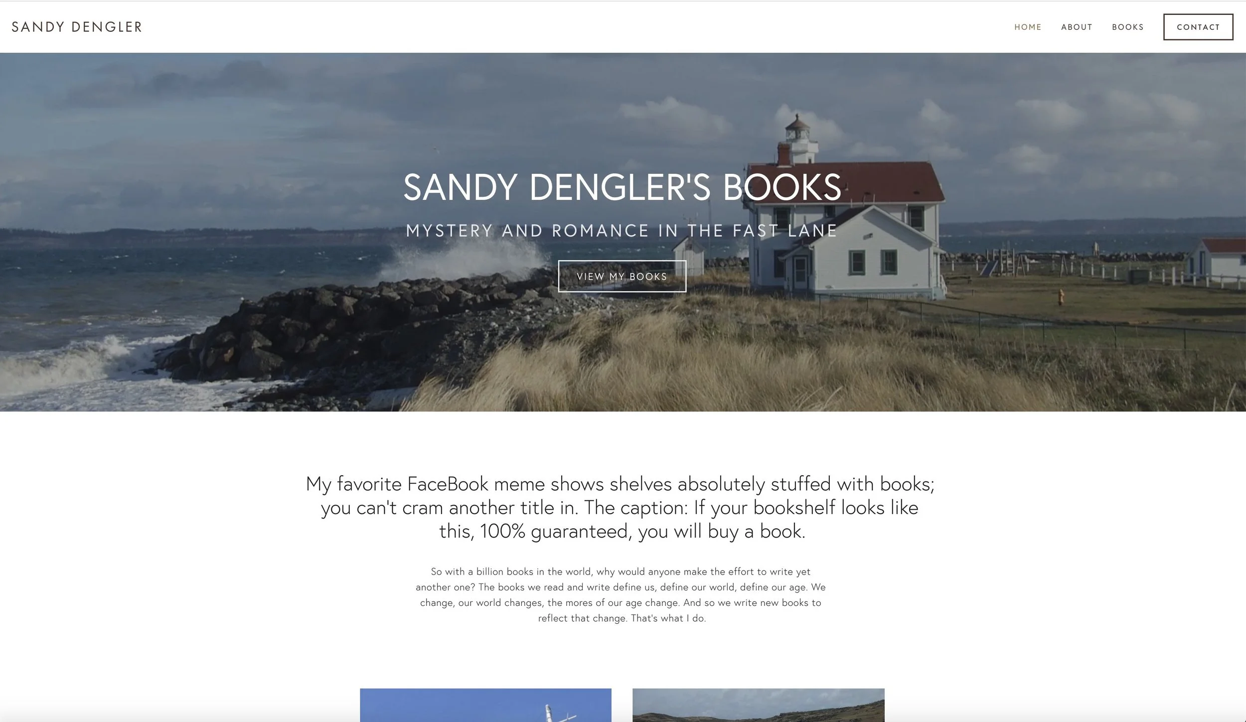 Sandy Dengler New.jpg