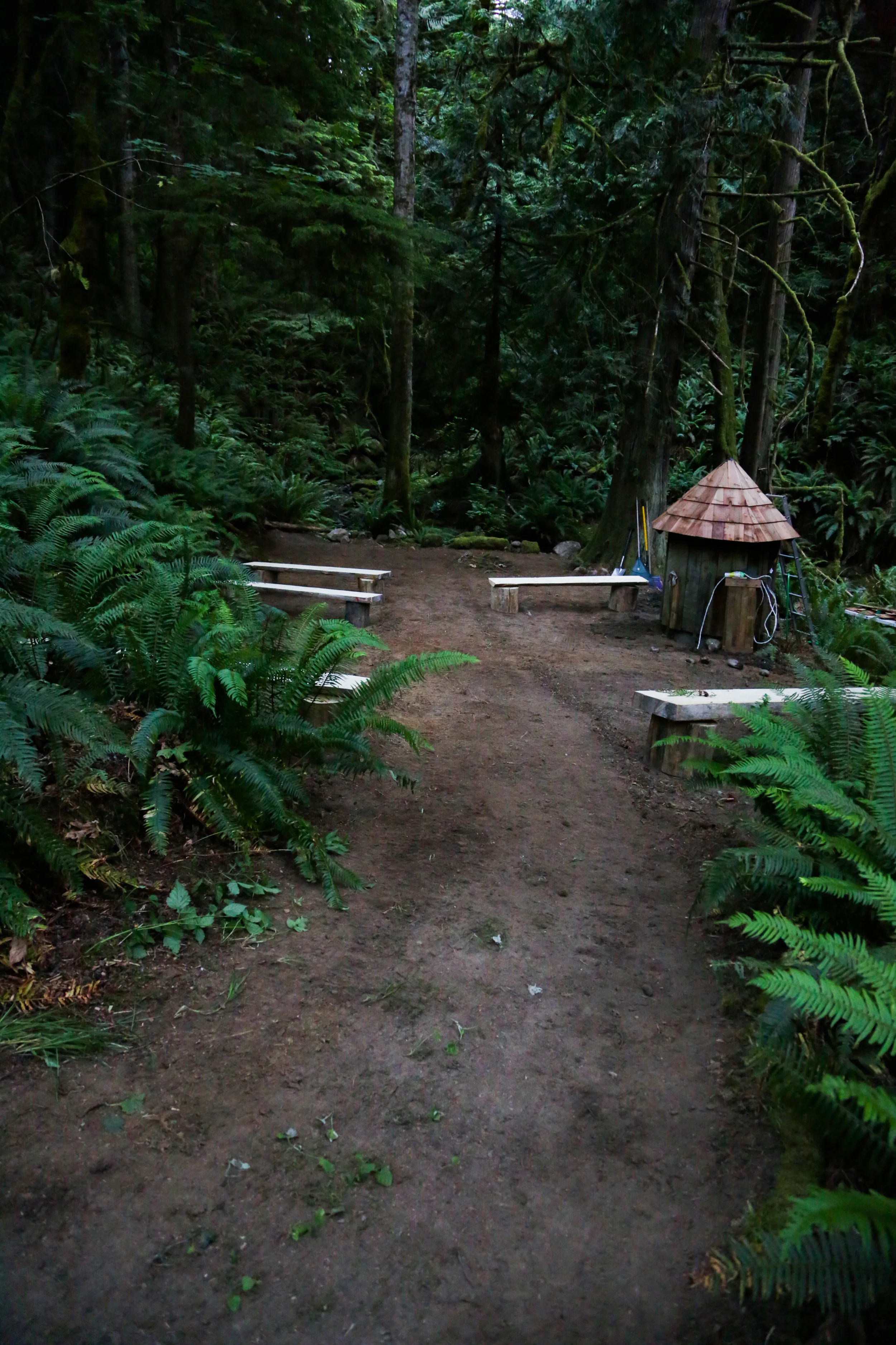 You can kind of see where the moss and wild pants were growing on the path and we hope to get all the moss back. The little well house is in the progress of a revamp which sadly means its little moss mushroom top is gone too. On the bright side there is water and power down there! So imagine cafe lights ad beautiful night weddings. It is light enough for photos during the day but dark enough to see lights and LED candles glow all day!